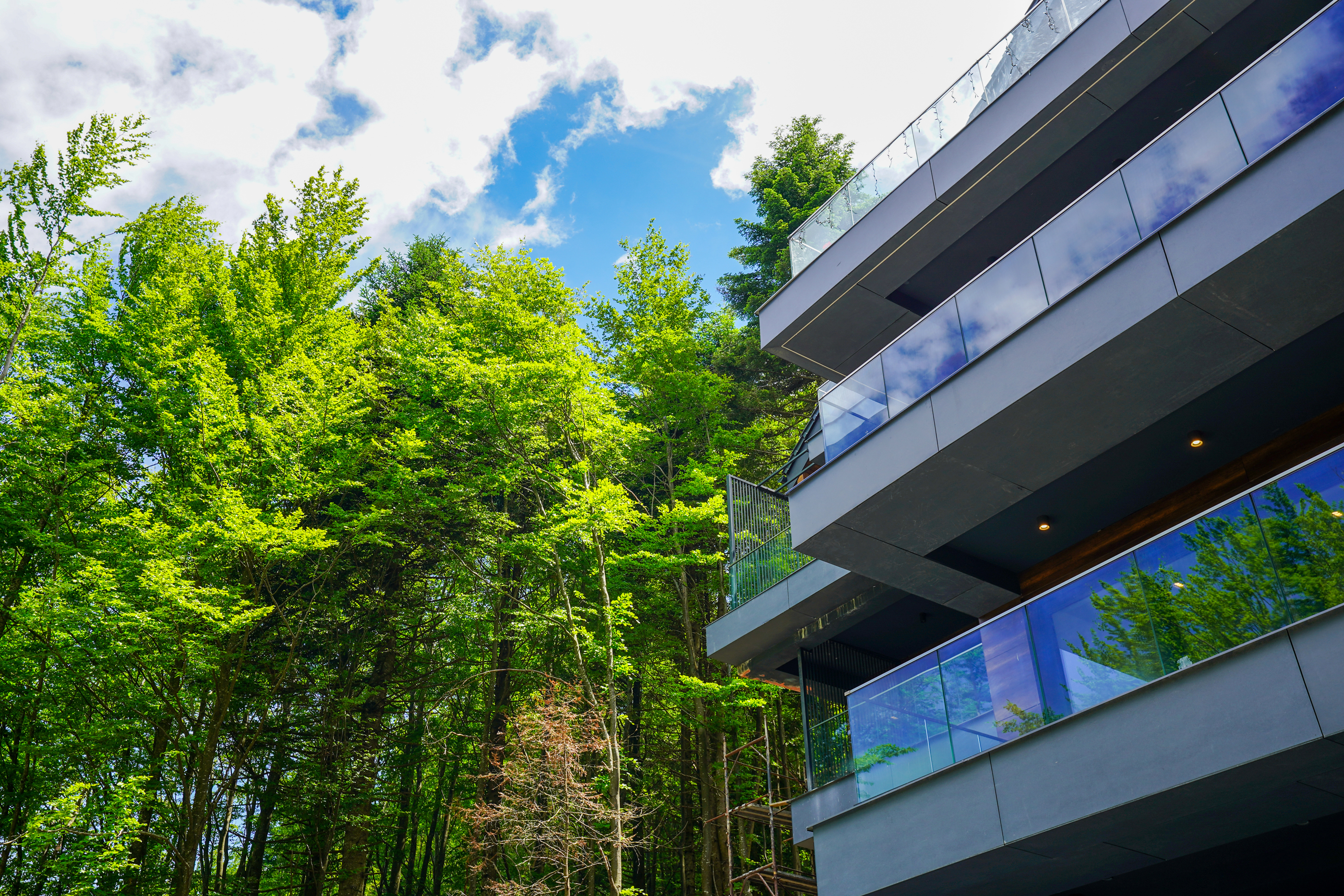  Penthouse Bordering the Forest, Sinaia - 物件實景