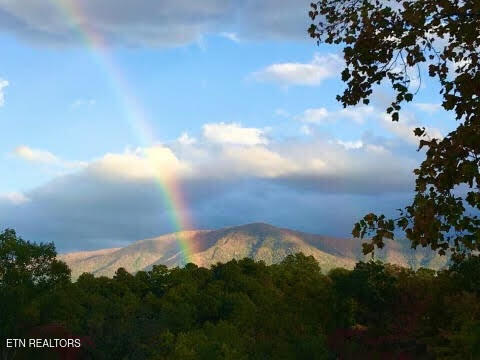 Sevierville, Tennessee, 37862, United States, 3 Bedrooms Bedrooms, ,3 BathroomsBathrooms,Residential,For Sale,1979377