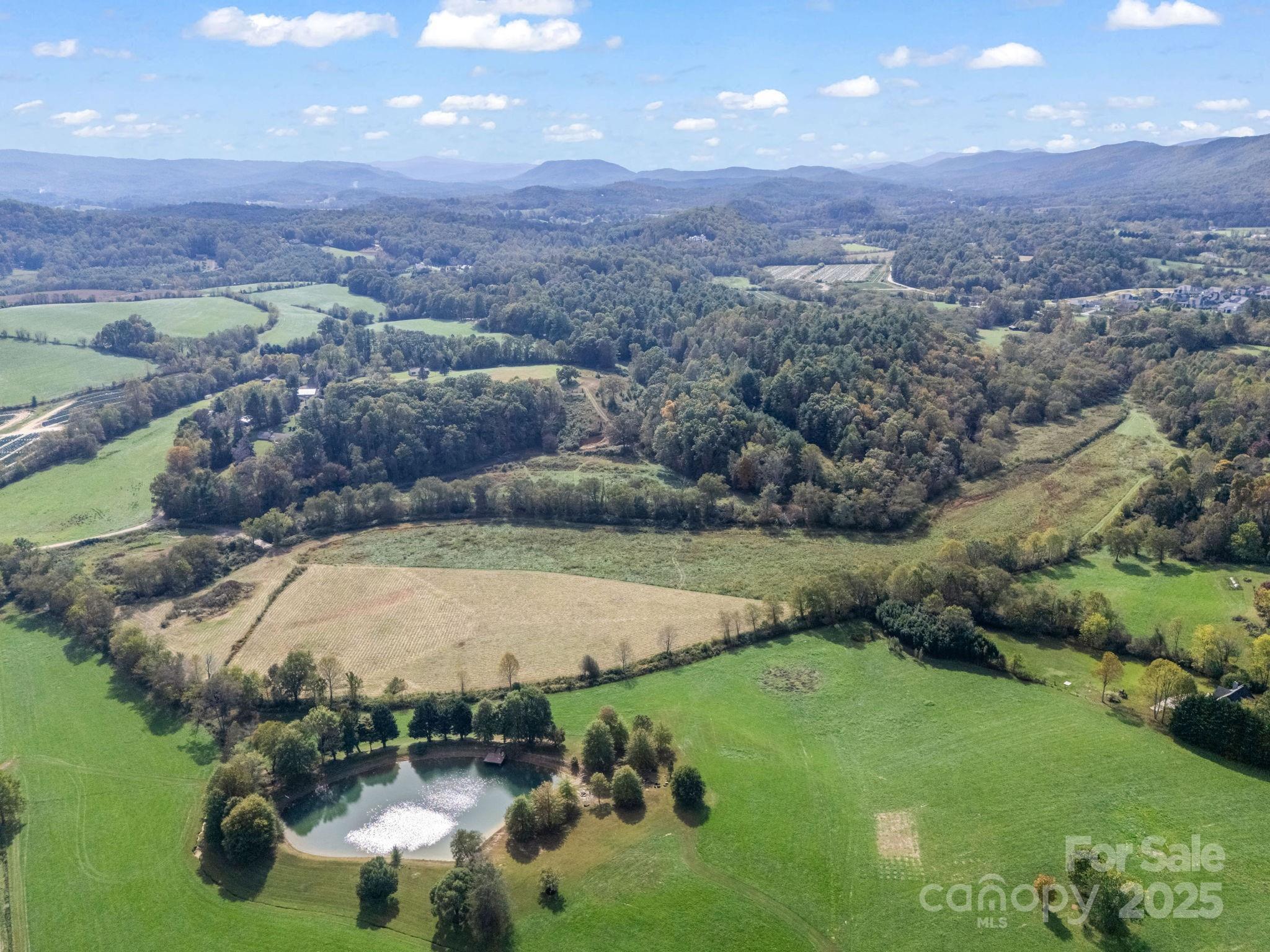 Mills River, North Carolina, 28759, United States, ,Land,For Sale,1975215