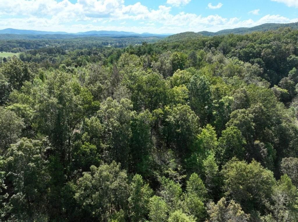 Ringgold, Georgia, 30736, United States, ,Residential,For Sale,1958114