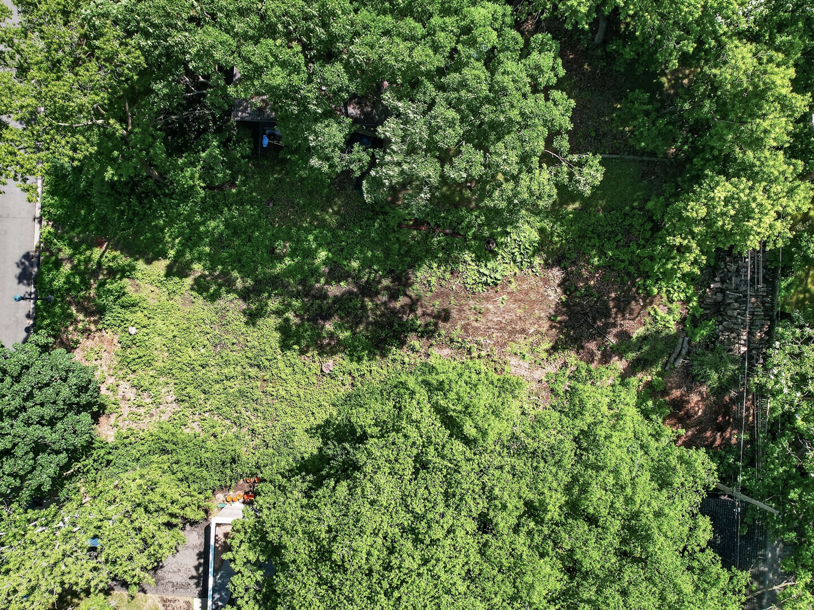  Rare Homesite in St. Anthony Park - 物件實景