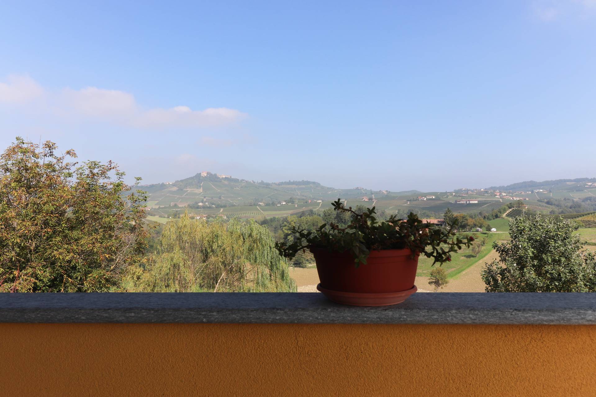Localit? riviera, Monforte d'Alba, Cuneo, 12065, IT, 3 Bedrooms Bedrooms, ,3 BathroomsBathrooms,Residential,For Sale,Localit? riviera,1639521