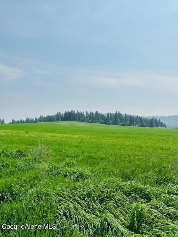 Worley, Idaho, 83876, United States, ,Land,For Sale,1981109