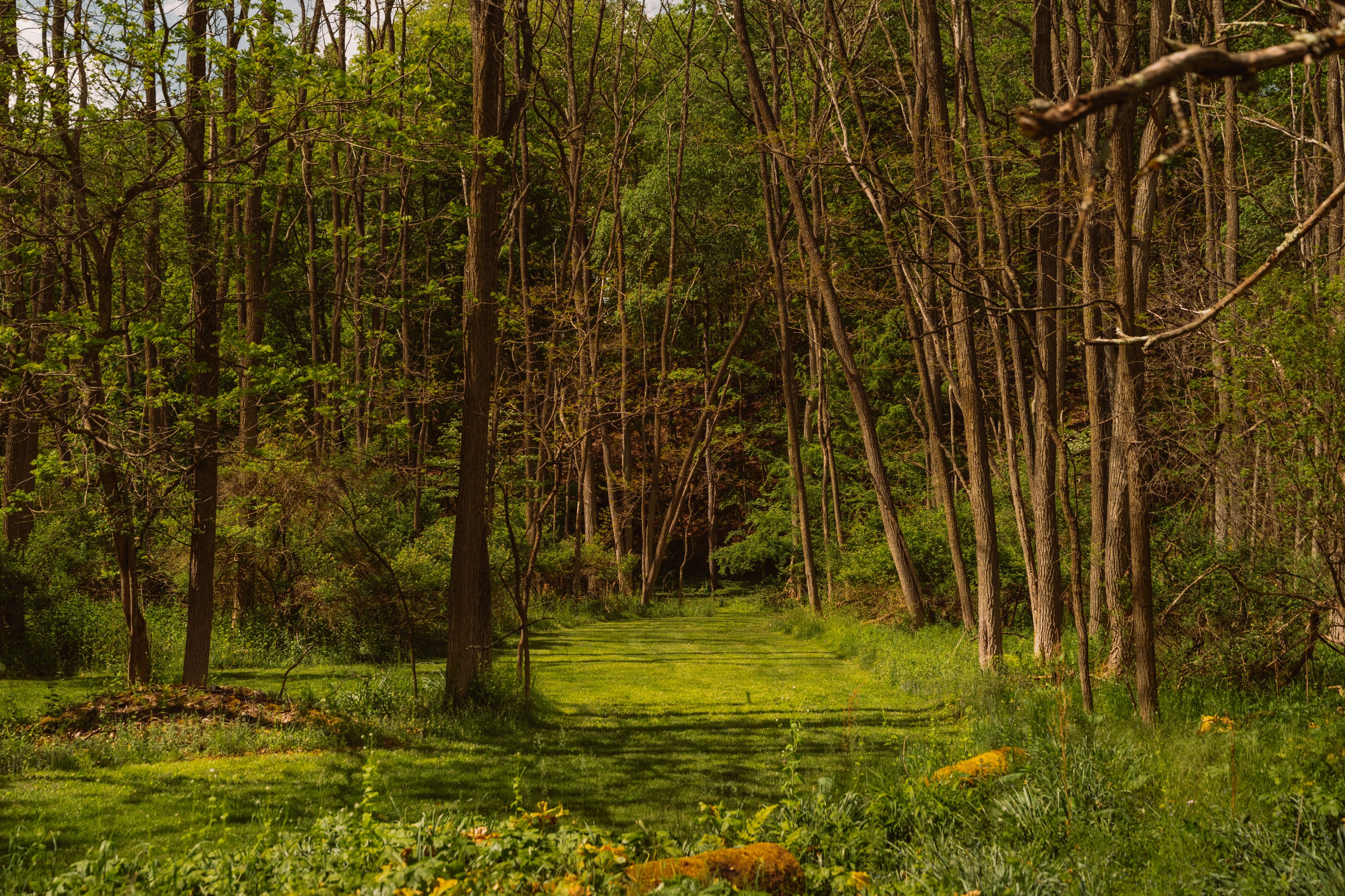  847 Cooks Falls Road, Roscoe, NY 12776 - 物件實景