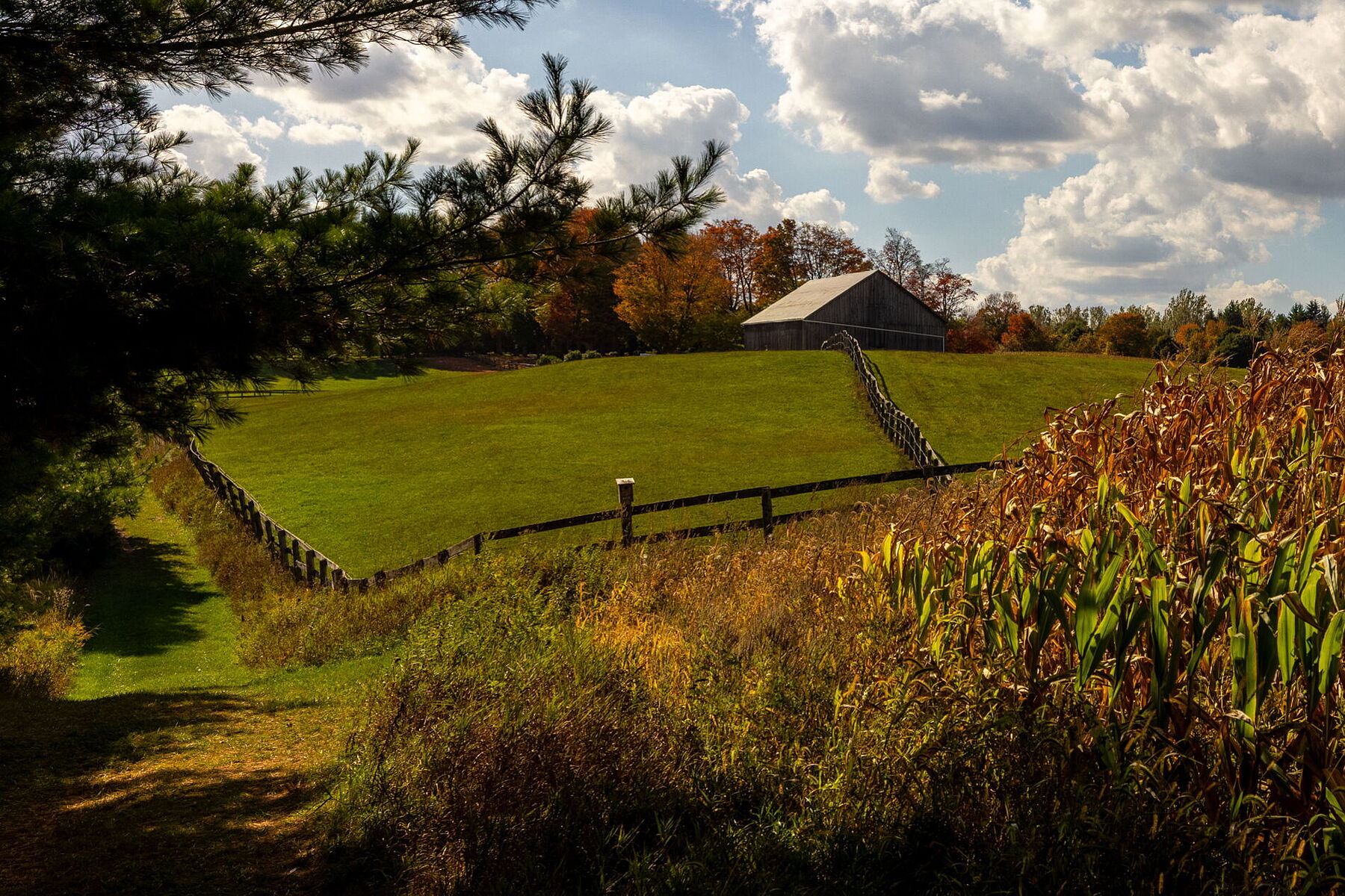  Country Living - 物件實景