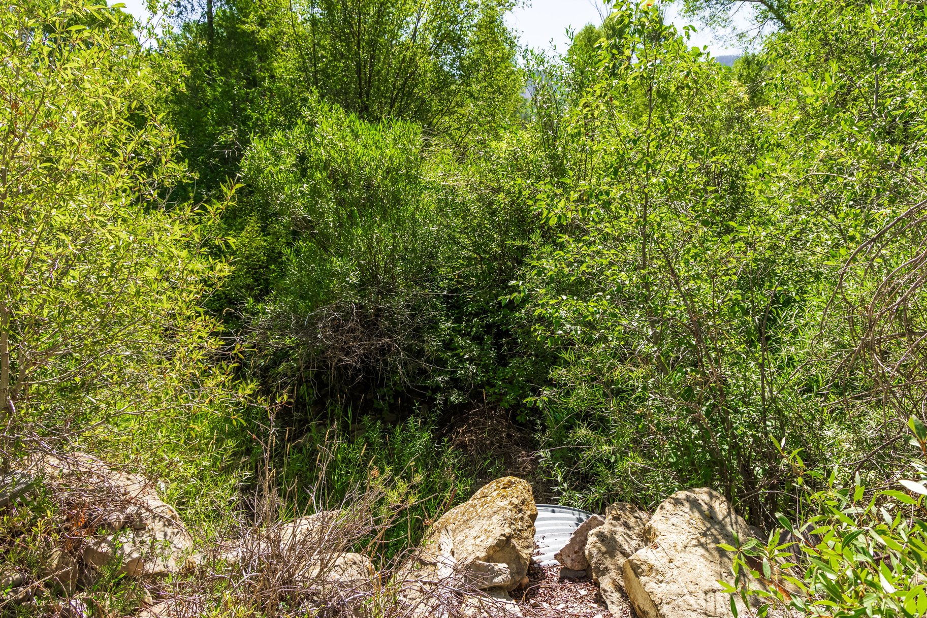  Rare Weber River Frontage Homesite - 物件實景