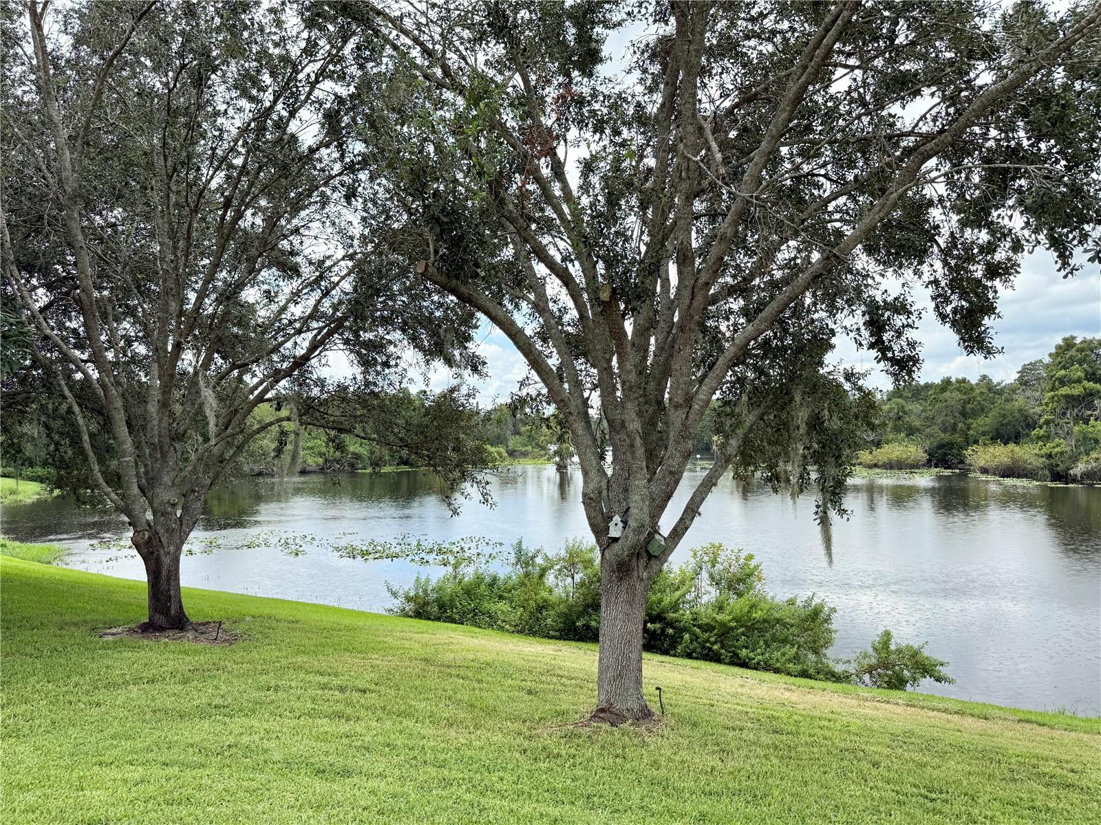 Temple Terrace, Florida, 33637, United States, 3 Bedrooms Bedrooms, ,4 BathroomsBathrooms,Residential,For Sale,1982268