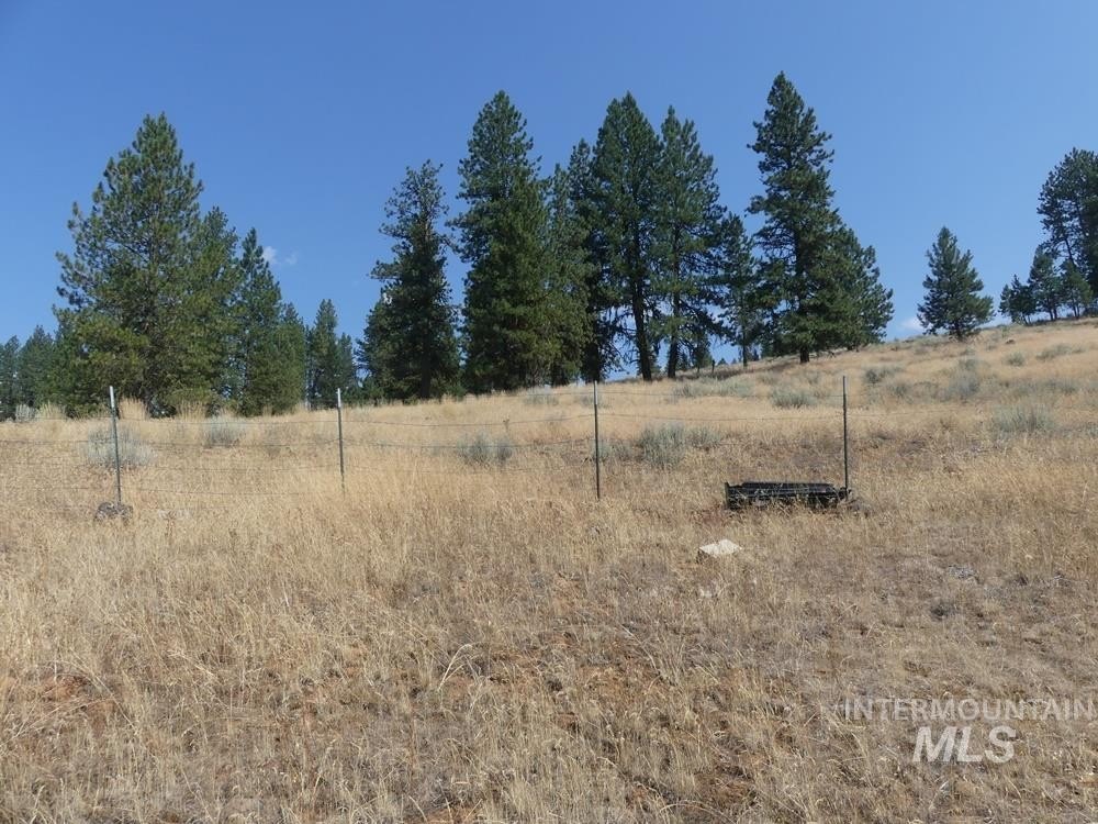 New Meadows, Idaho, 83654, United States, 3 Bedrooms Bedrooms, ,3 BathroomsBathrooms,Residential,For Sale,1810630