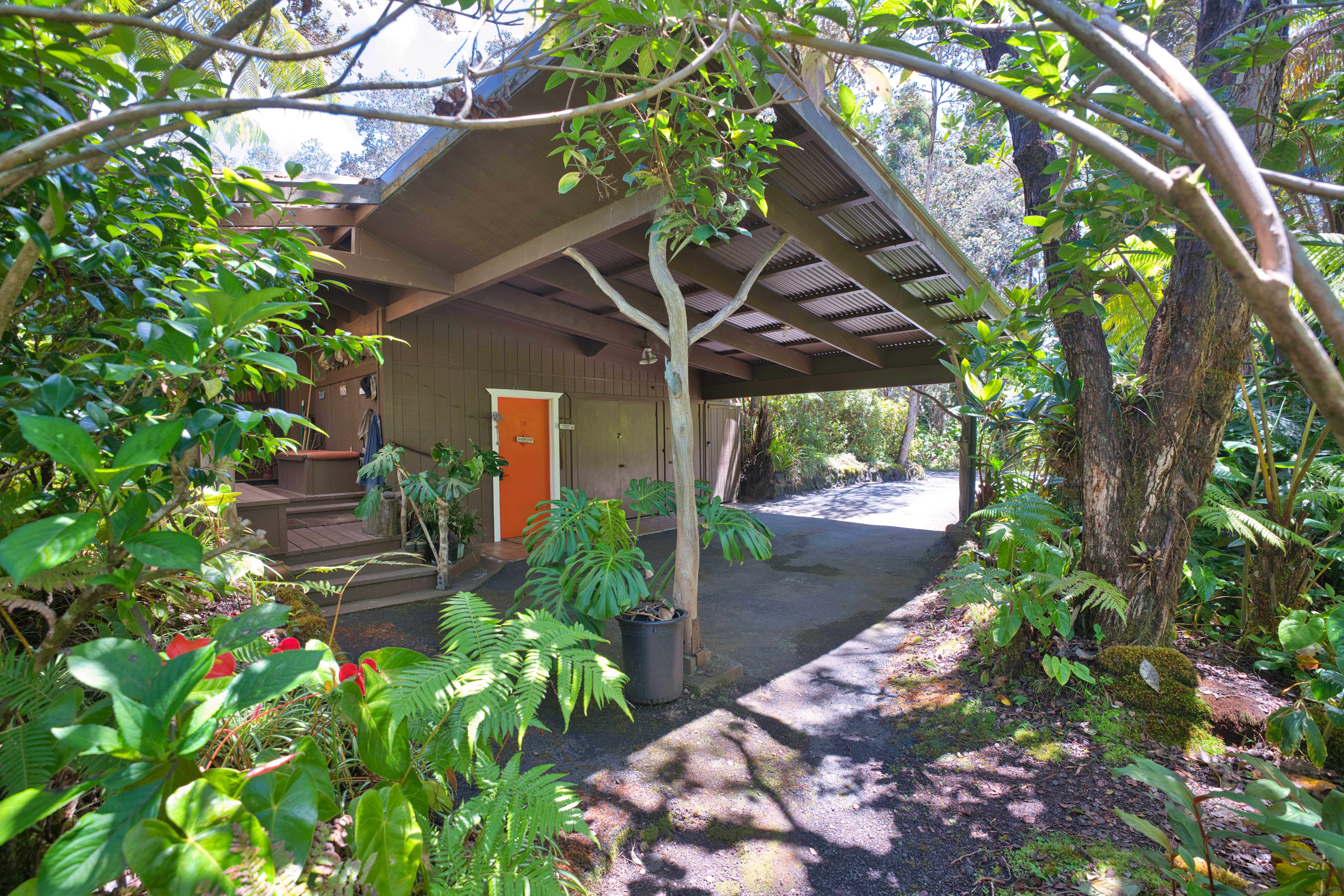  19-4153 Alanui Iiwi, Volcano, HI, 96785 - 物件實景