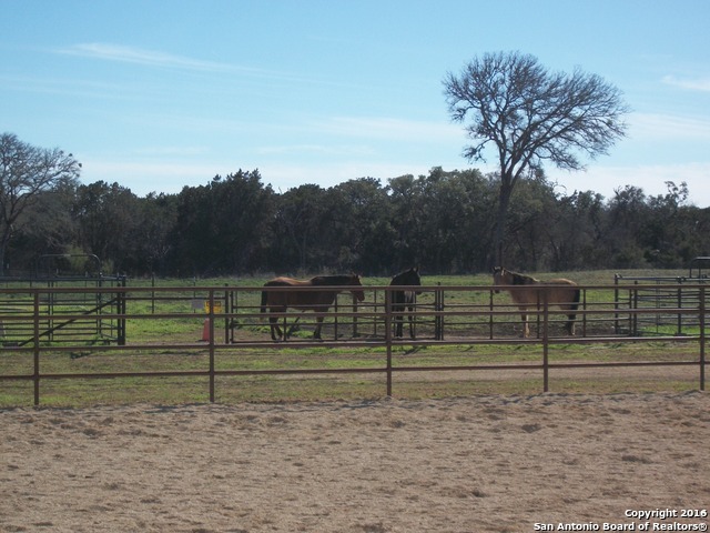 Tarpley, Texas, 78883, United States, 3 Bedrooms Bedrooms, ,2 BathroomsBathrooms,Residential,For Sale,1919539