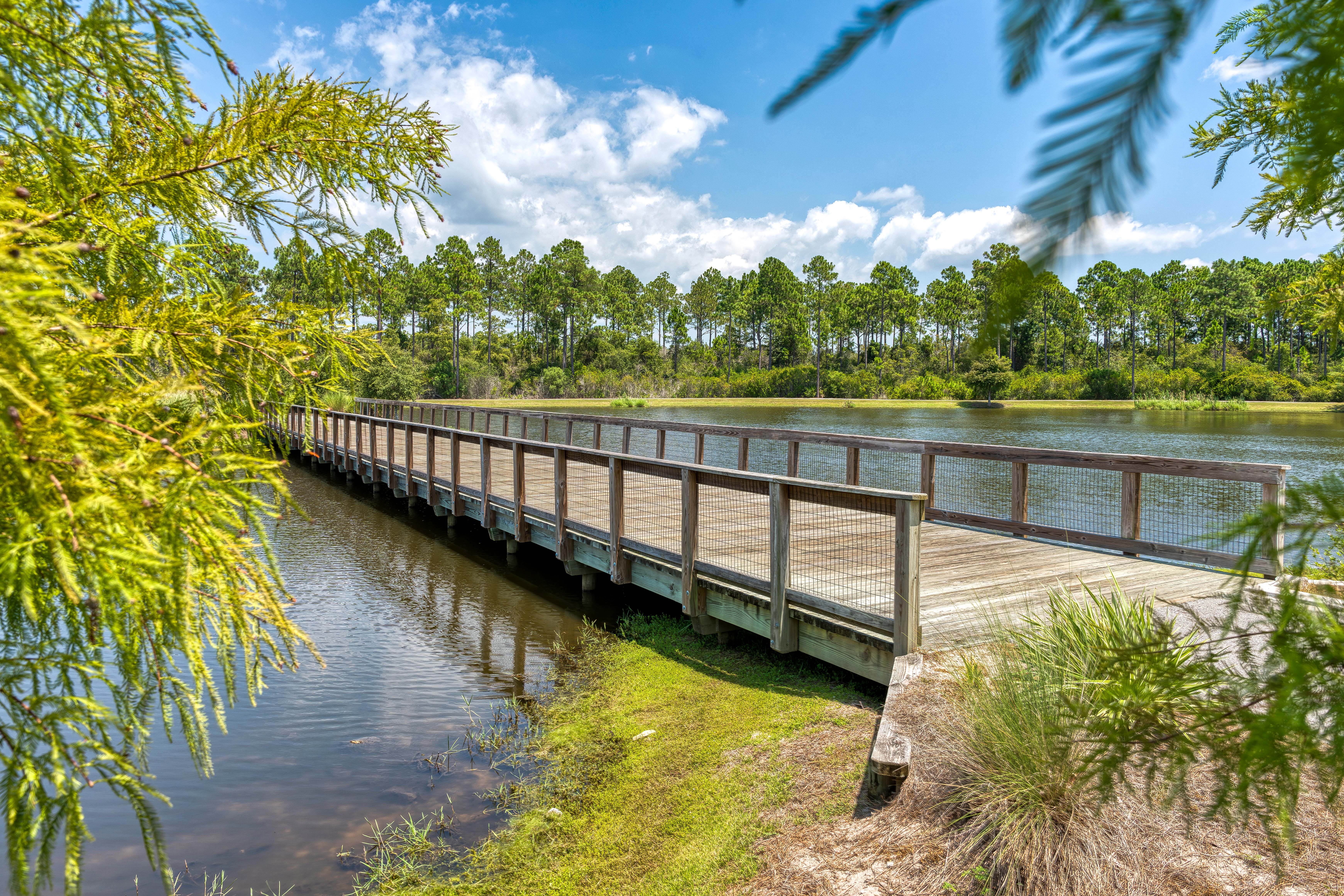  Updated Watersound Origins Home with Screened Porch & Green Space Views - 物件實景