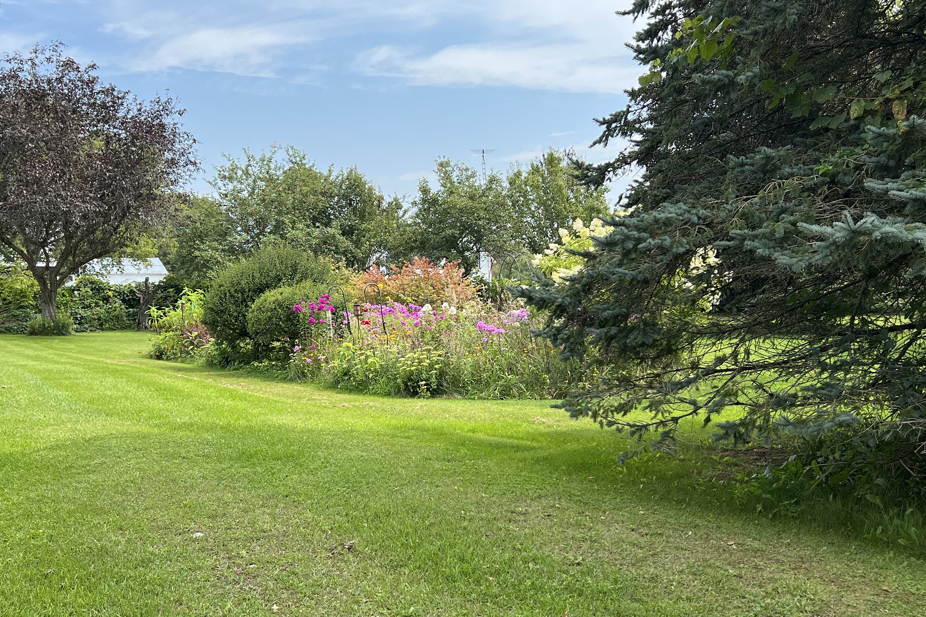  Warkworth Country Retreat - 物件實景