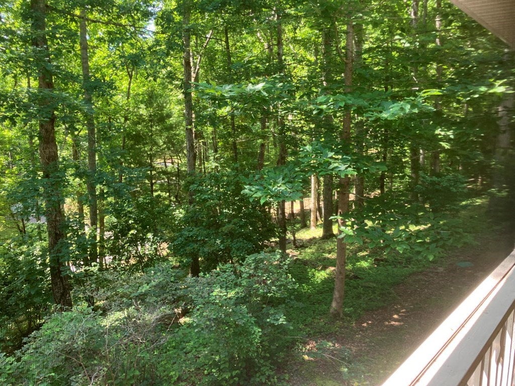 Young Harris, Georgia, 30582, United States, 3 Bedrooms Bedrooms, ,3 BathroomsBathrooms,Residential,For Sale,1847113