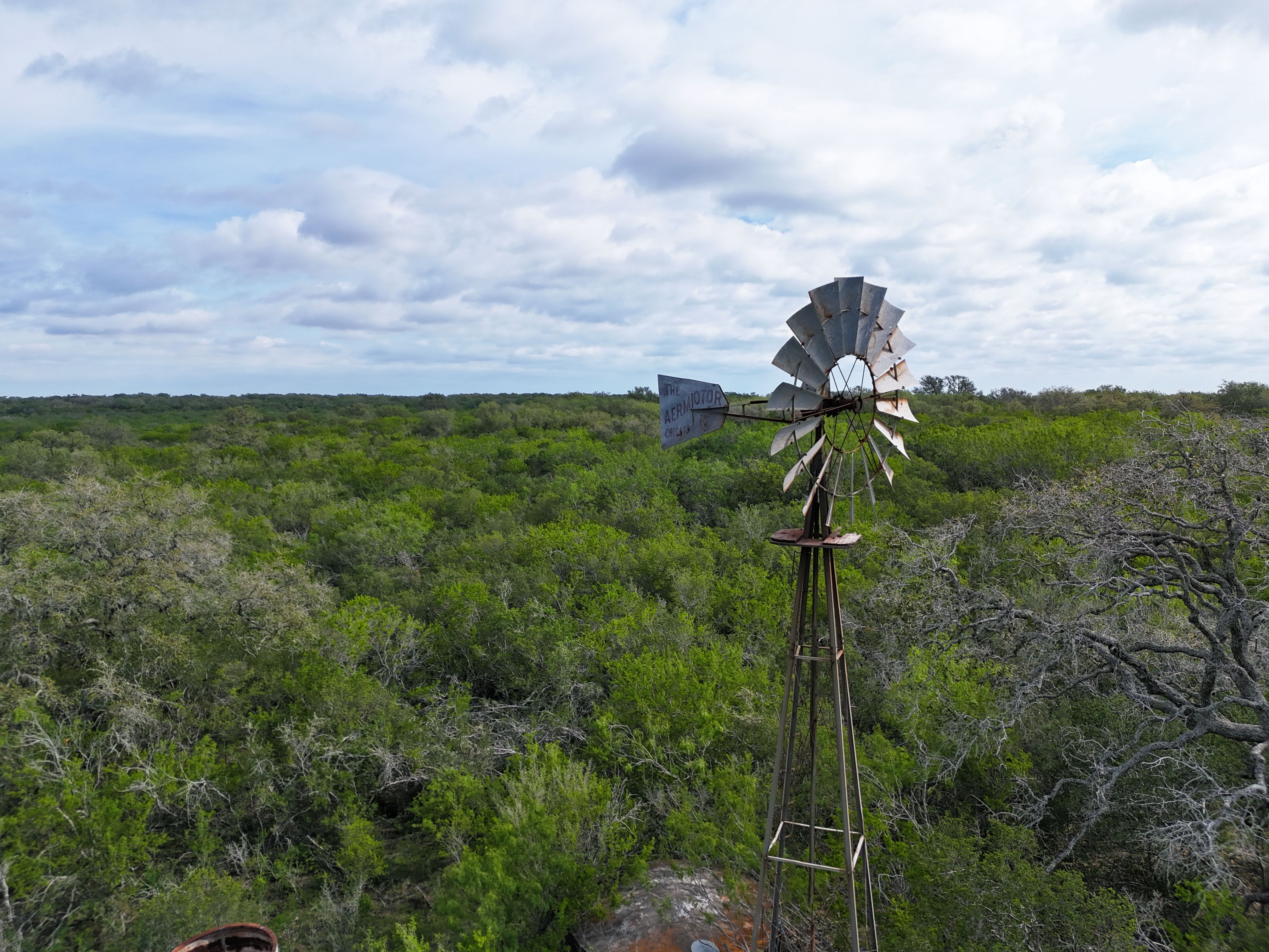  810+/- Acre Cabeza Creek Ranch - 物件實景