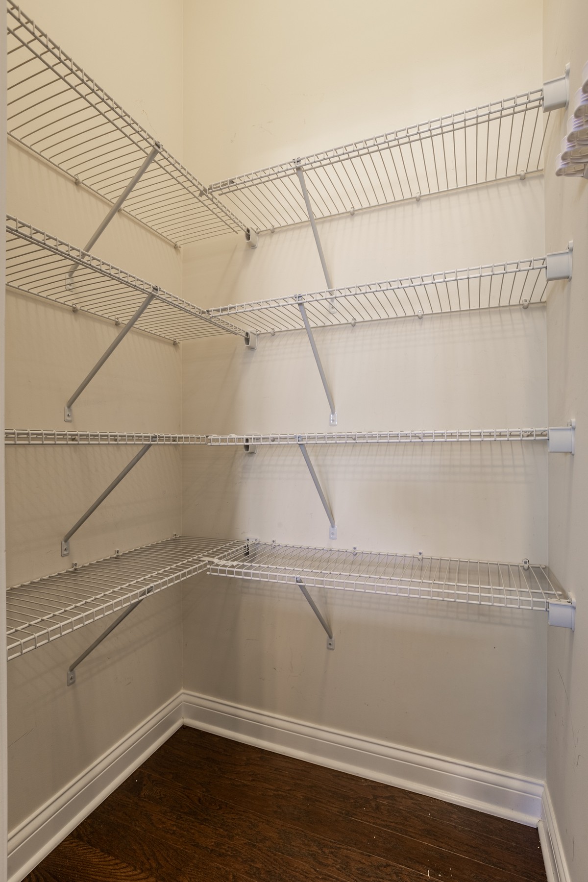  Charming 4 Bedroom Ranch in a Premier Westfield Community - 物件實景