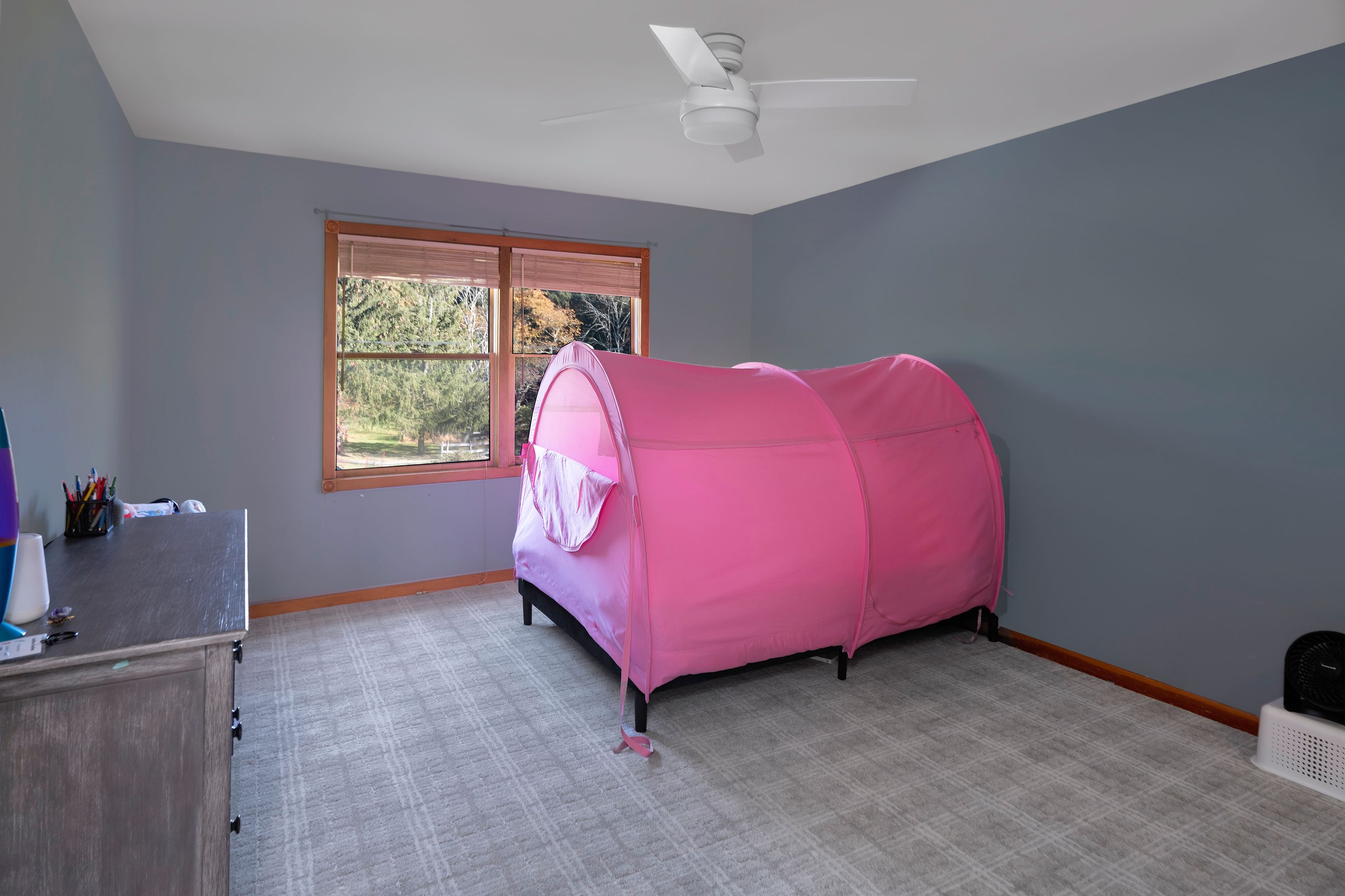  Luxury Country Living with Smart Home Features - 物件實景