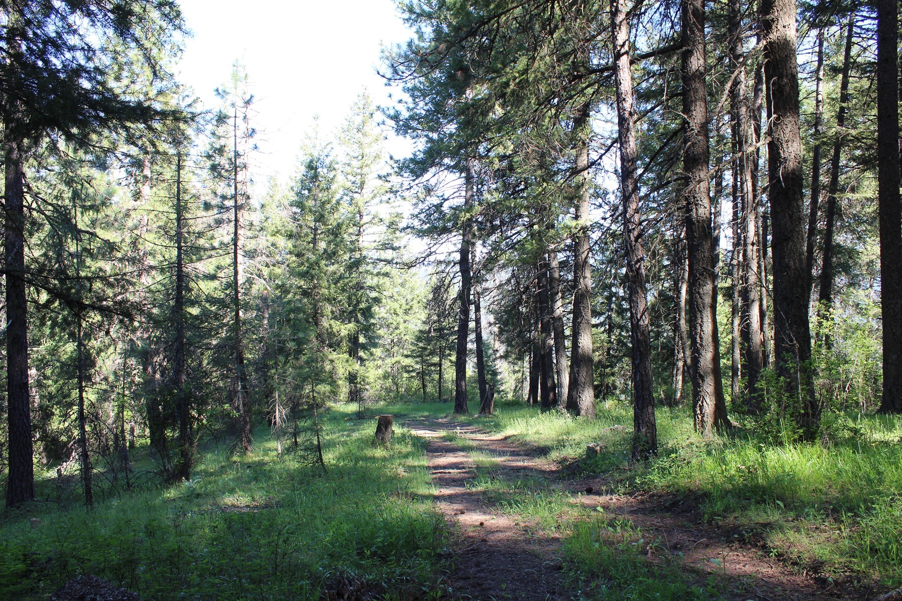  881 S Allen Rd and 2714 E Haven Dr Coeur d