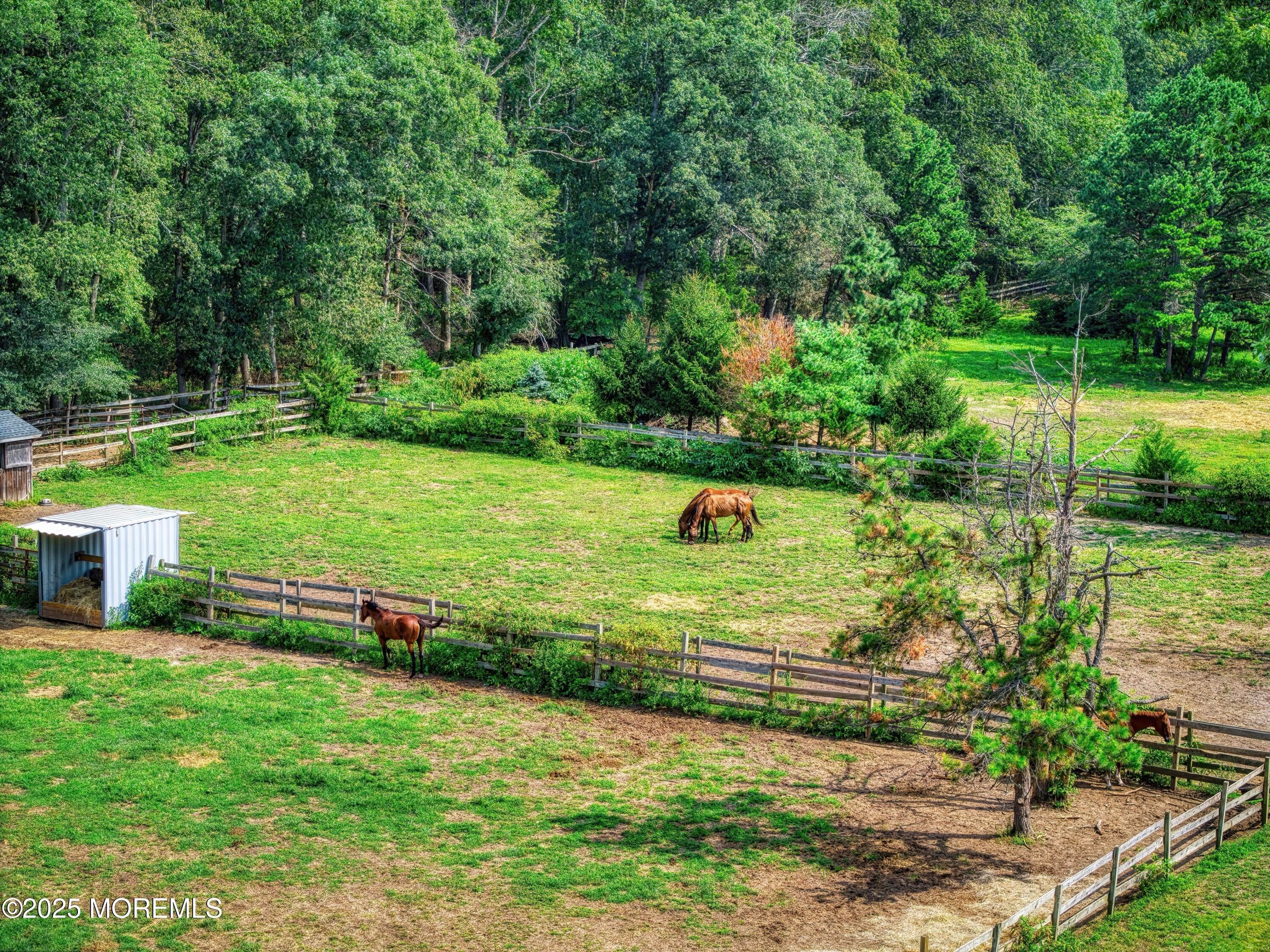 Jackson, New Jersey, 08527, United States, 4 Bedrooms Bedrooms, ,3 BathroomsBathrooms,Residential,For Sale,1973724