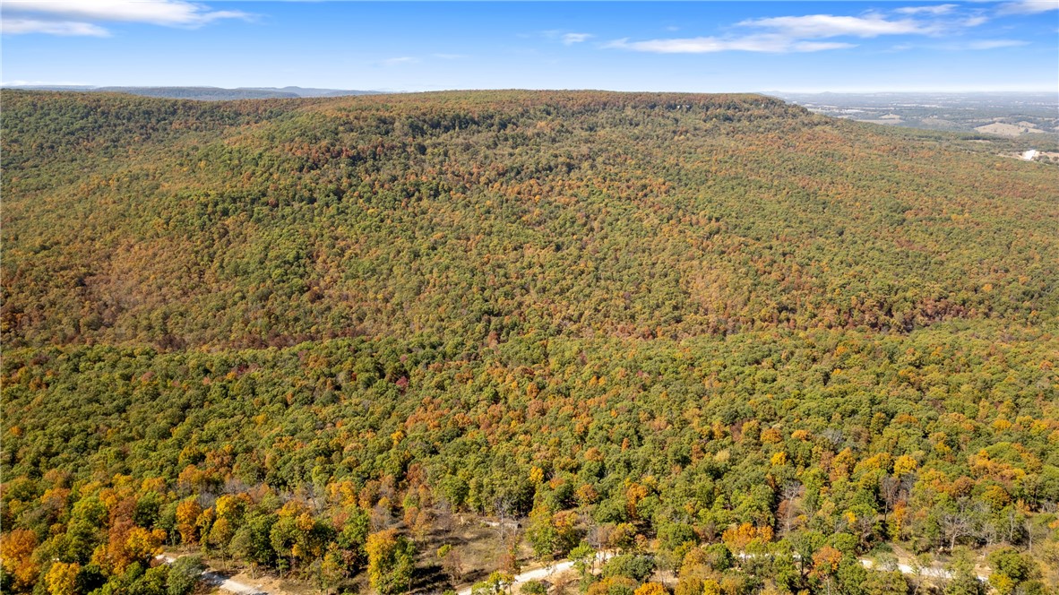 Harrison, Arkansas, 72601, United States, ,Land,For Sale,1903460