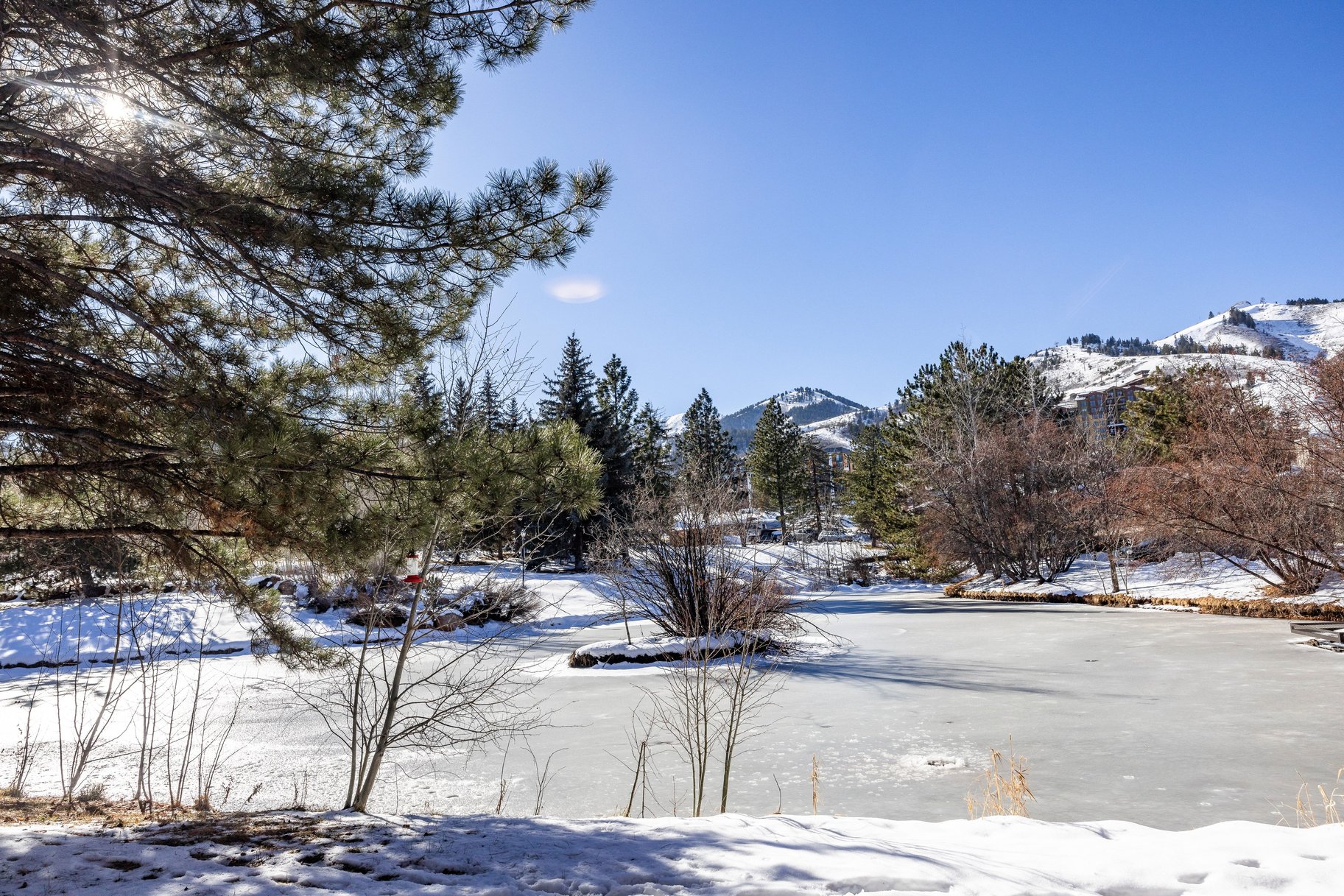  Hidden Gem Alert. Pond-Front. Turnkey. Income-Ready - 物件實景