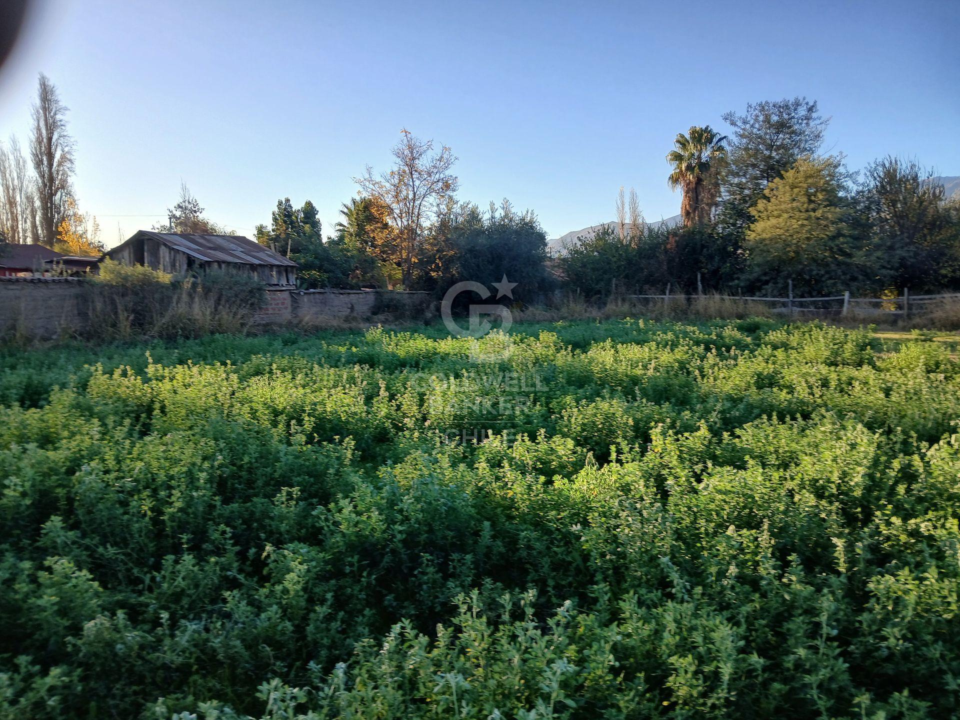 San Esteban, Chile, ,Land,For Sale,1926022
