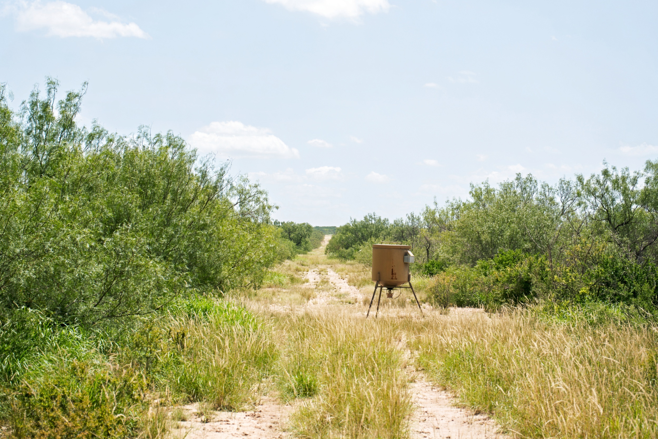  3,640+/- Acre Rosita Lake Ranch - 物件實景