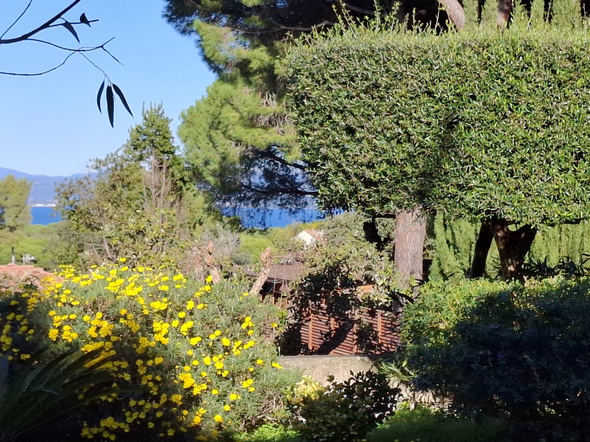 Hyères, Provence-Alpes-Côte d’Azur, 83400, FR, 3 Bedrooms Bedrooms, ,3 BathroomsBathrooms,Residential,For Sale,1987881