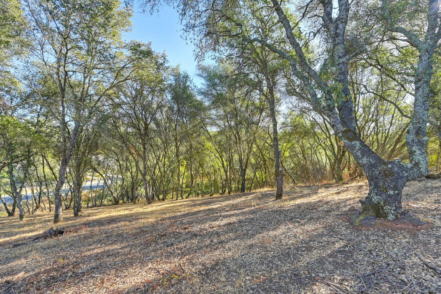 El Dorado Hills, California, 95762, United States, ,Land,For Sale,1993227