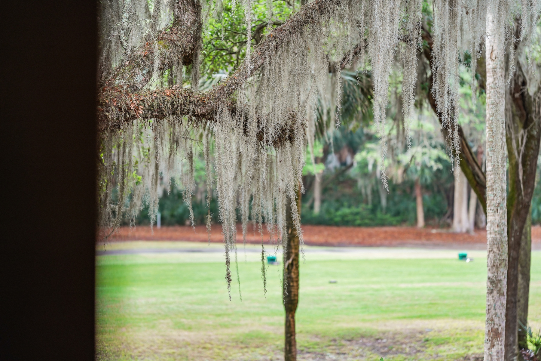  194 High Hammock Villas, Seabrook Island - 物件實景
