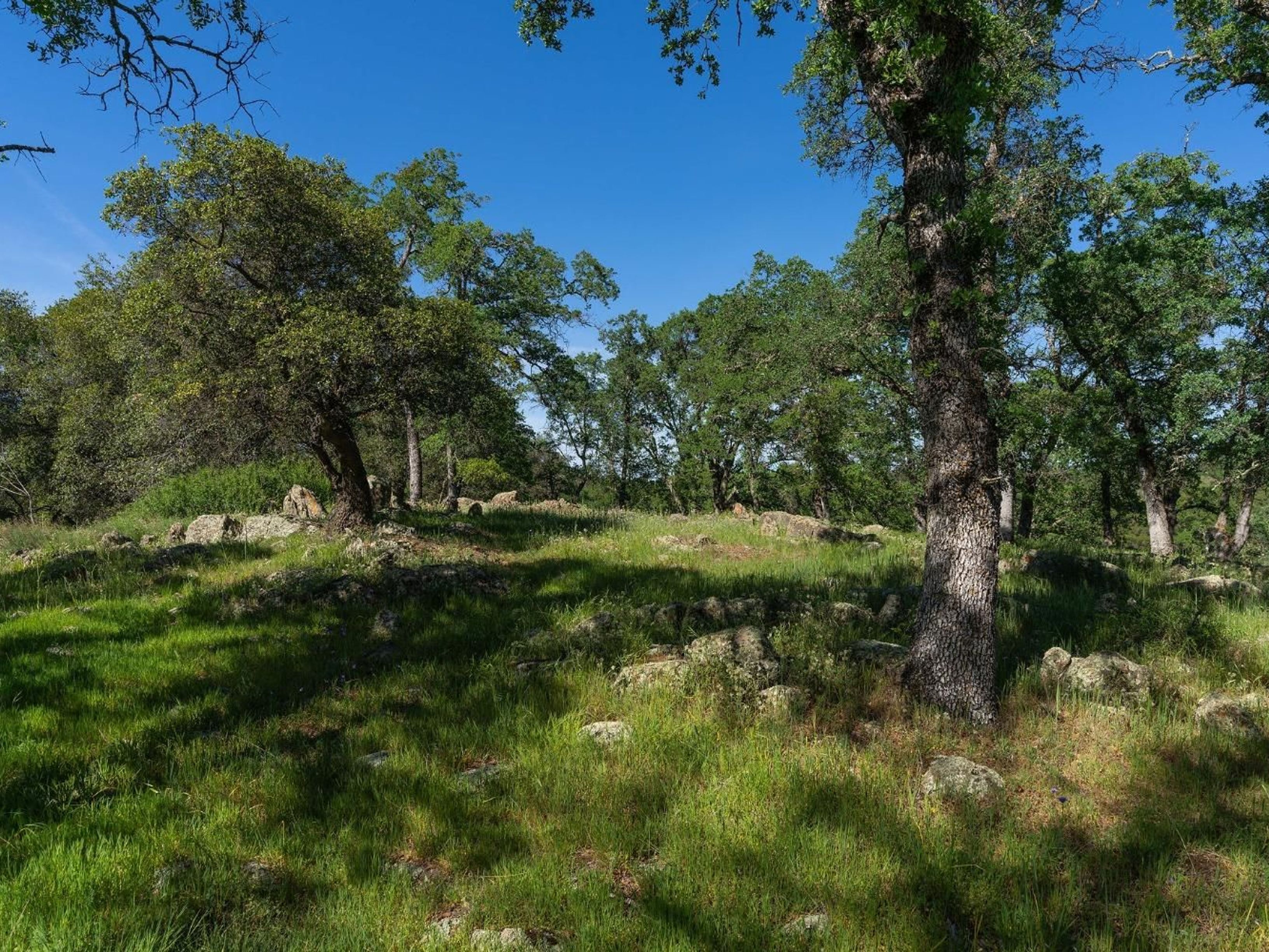  10865 Sunset Drive, Sutter Creek, CA 95685 - 物件實景