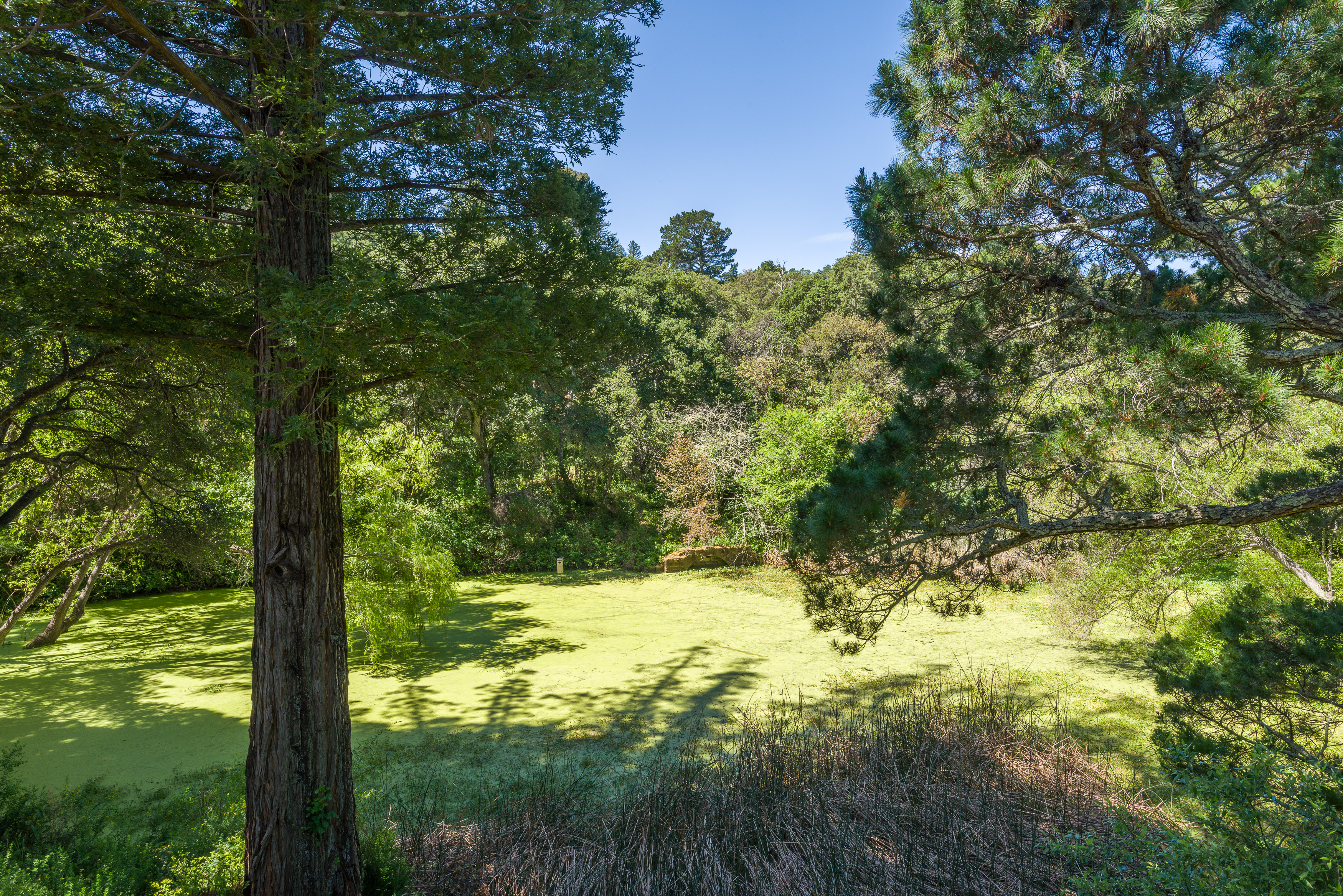  90 Hayfields Road, Portola Valley, CA 94028 - 物件實景