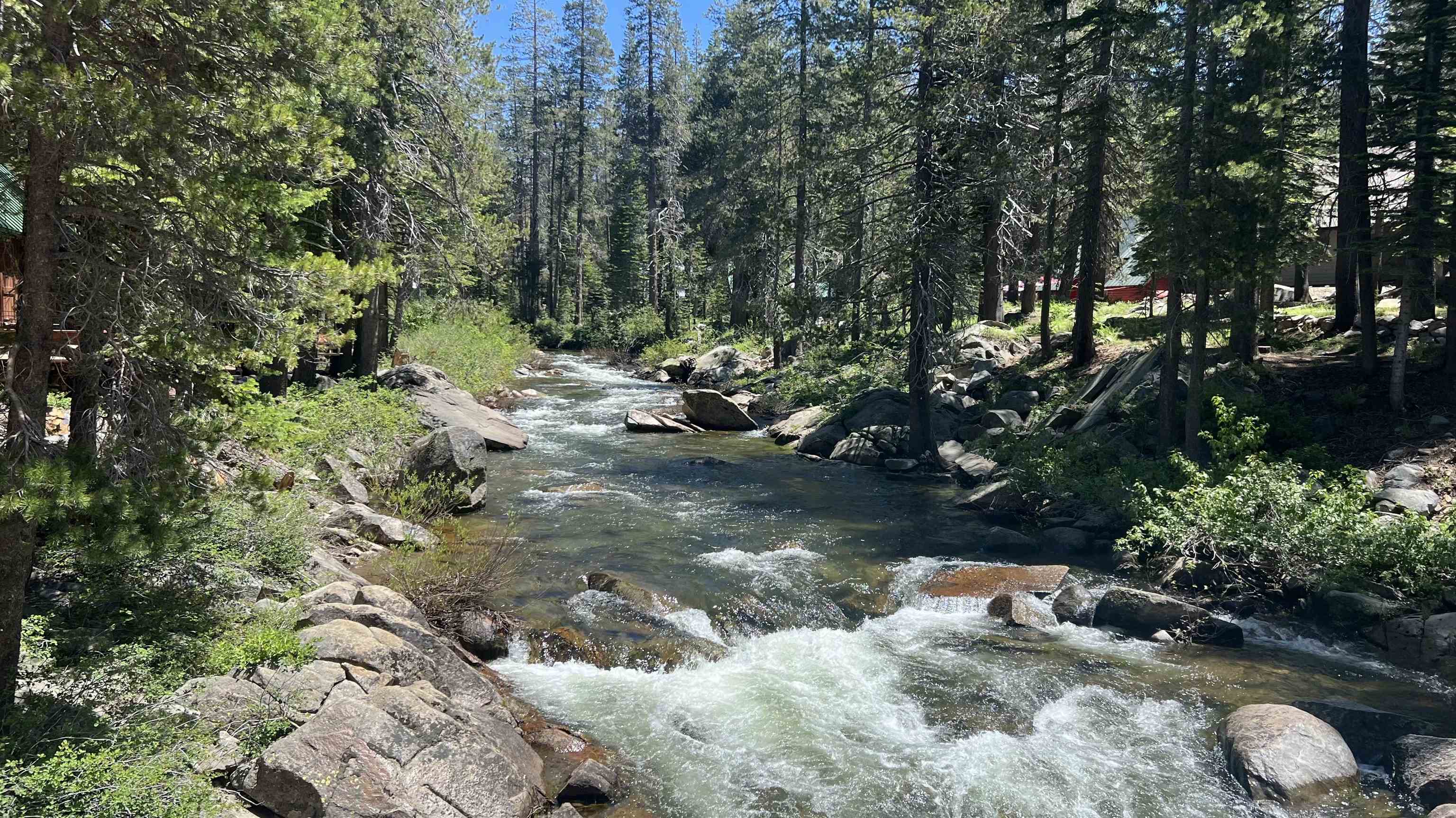 Soda Springs, California, 95728, United States, ,Land,For Sale,1998157