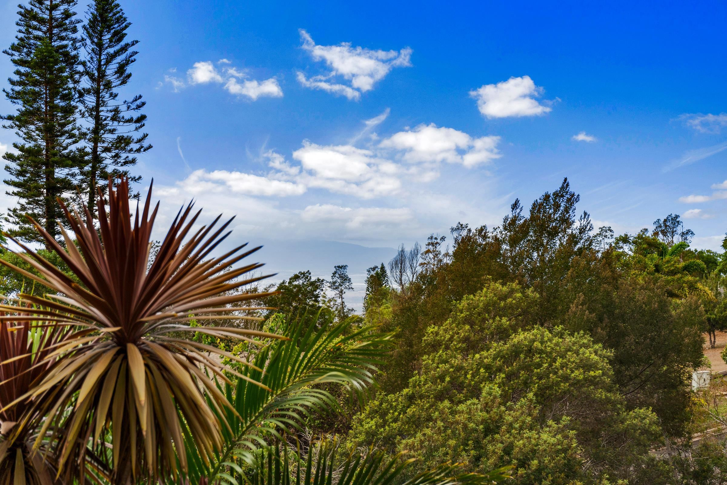 Kula, Hawaii, 96790, United States, 3 Bedrooms Bedrooms, ,2 BathroomsBathrooms,Residential,For Sale,1987639