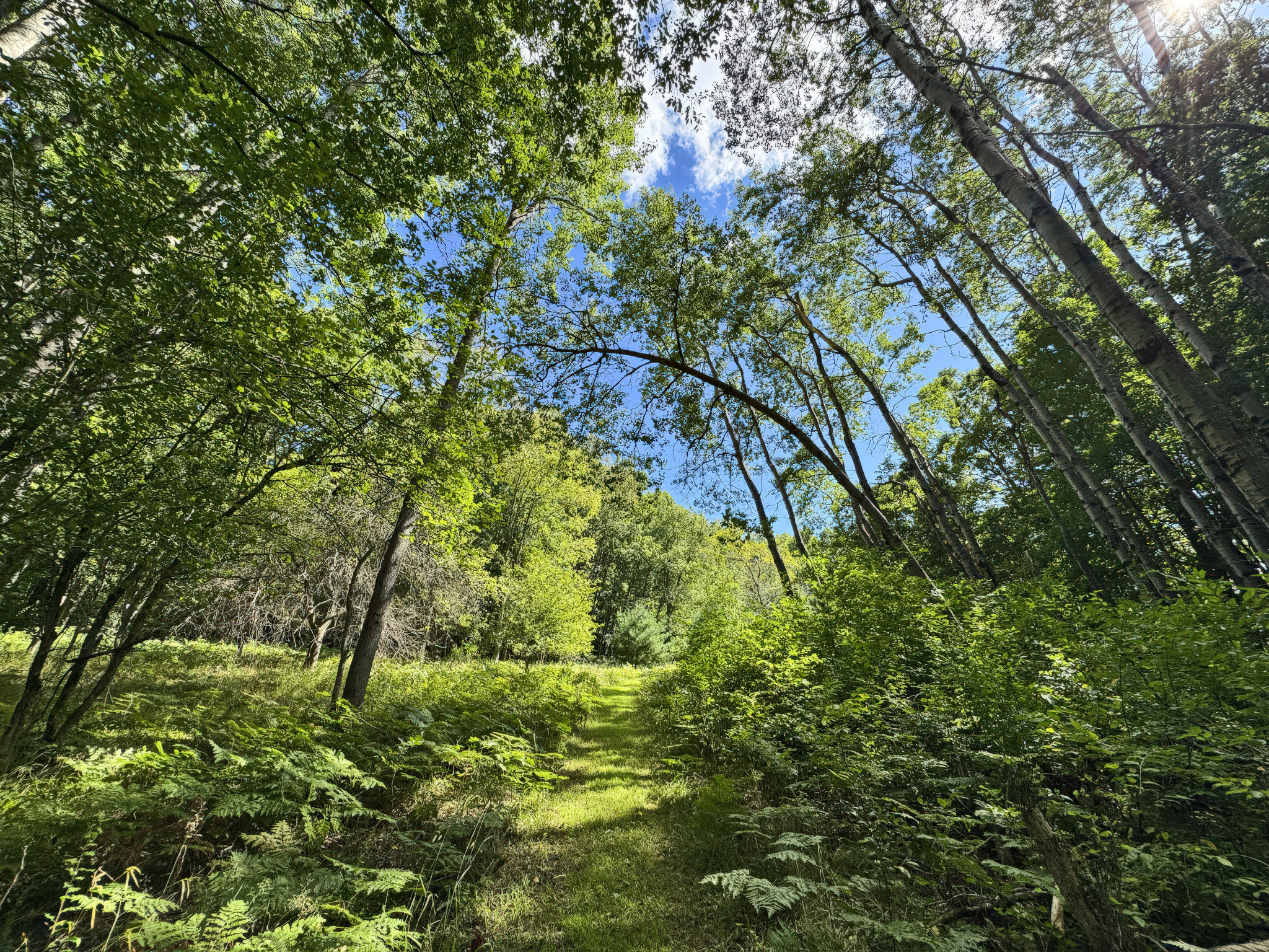 Branch, Michigan, 49402, United States, 1 Bedroom Bedrooms, ,1 BathroomBathrooms,Residential,For Sale,2001233