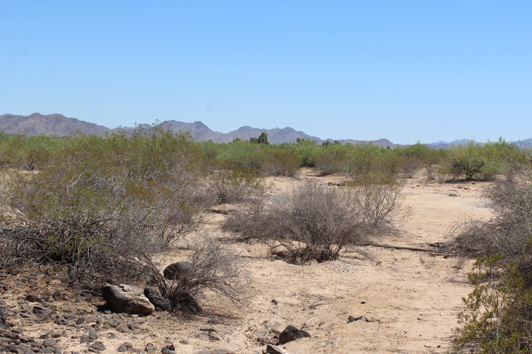  11 S 337th Avenue, Arlington, AZ, 85322 - 物件實景