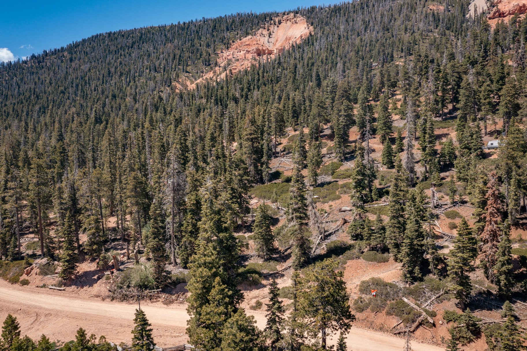  Quiet Mountain Retreat Near Navajo Lake - 物件實景
