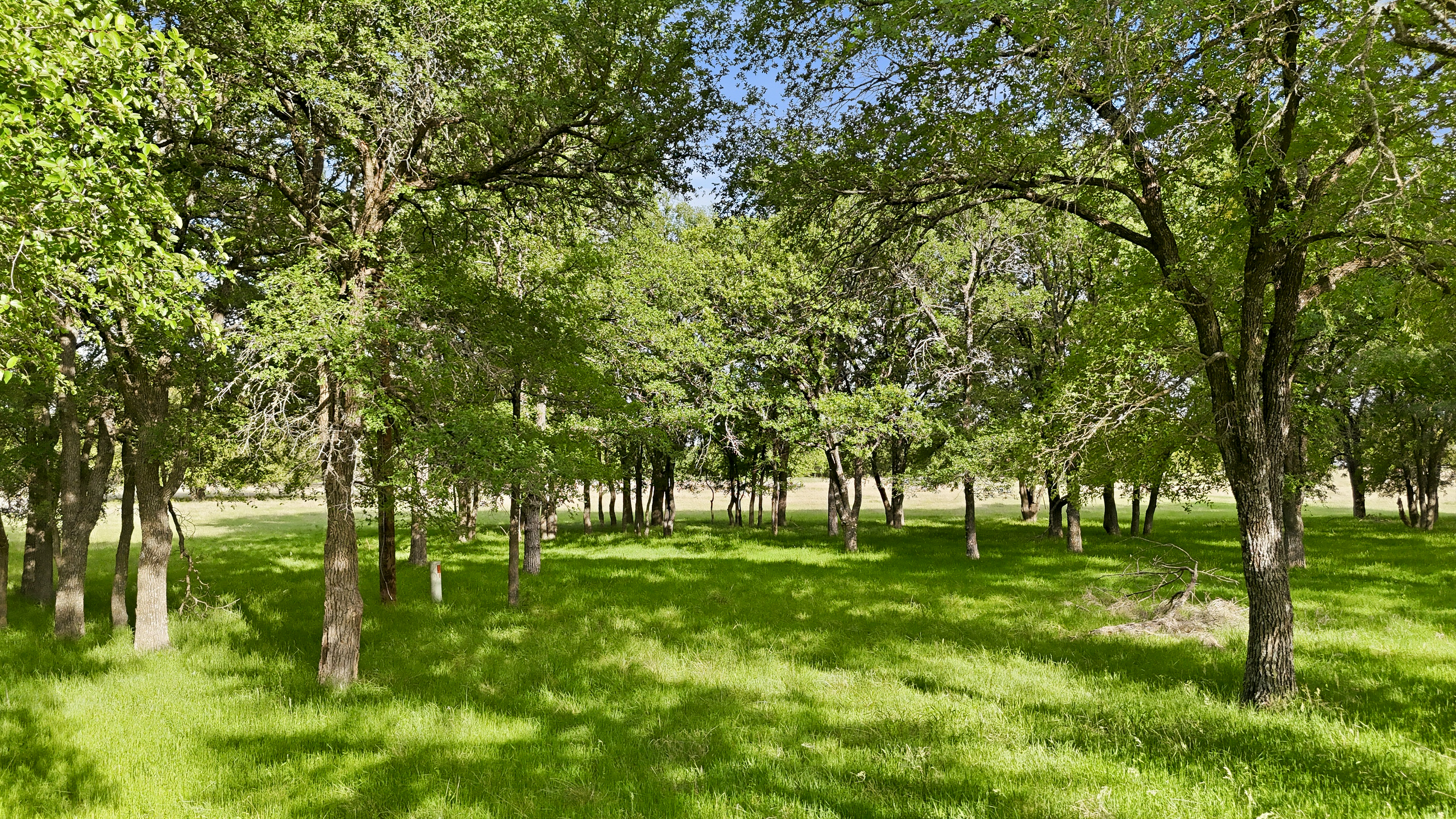  400 River Ranch Road, Aledo, TX, 76008 - 物件實景