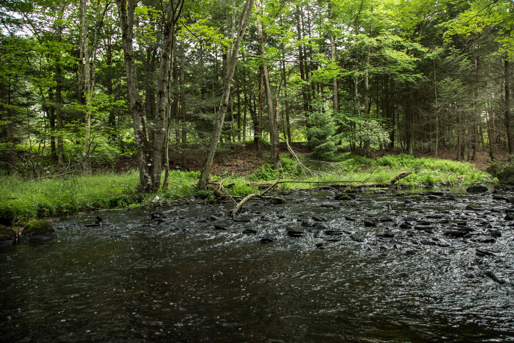  Stream Front Home Site at The Chapin Estate - 物件實景