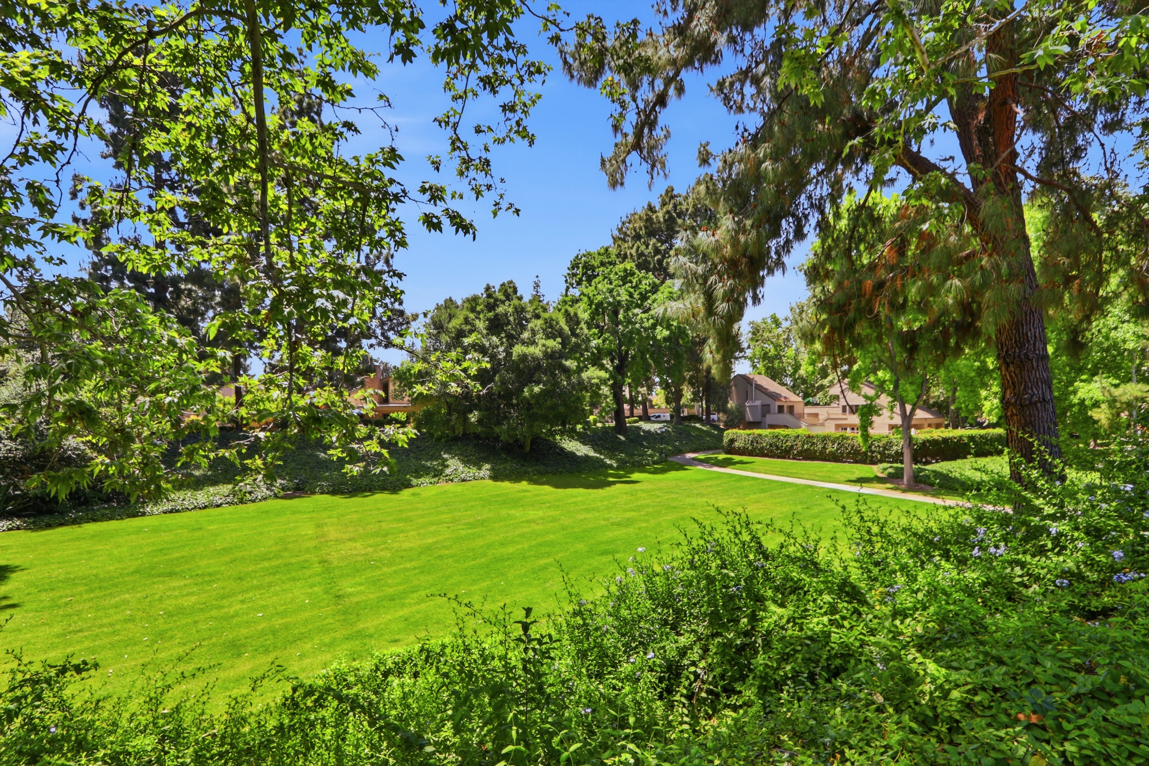  Updated Willow Glen Townhome - 物件實景
