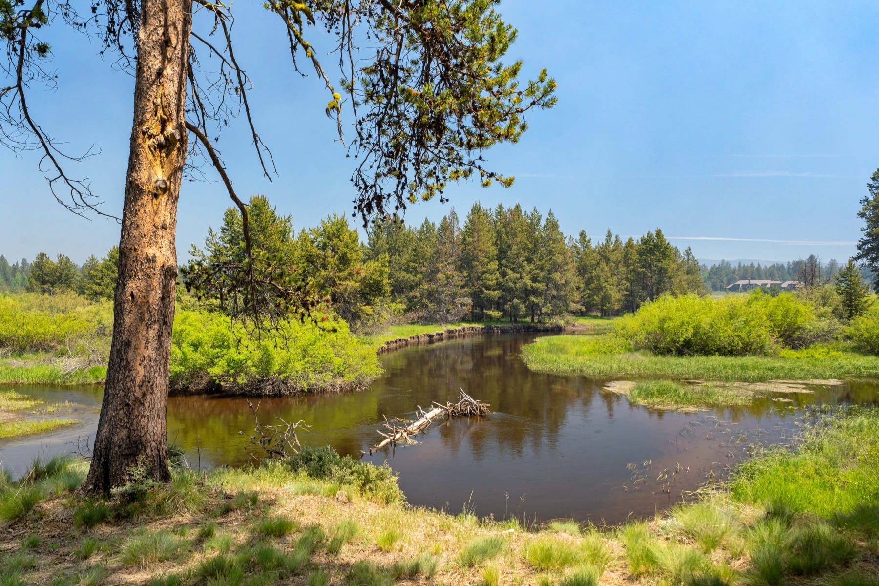 55855 Hashknife Road #18 Bend, OR 97707 - 物件實景