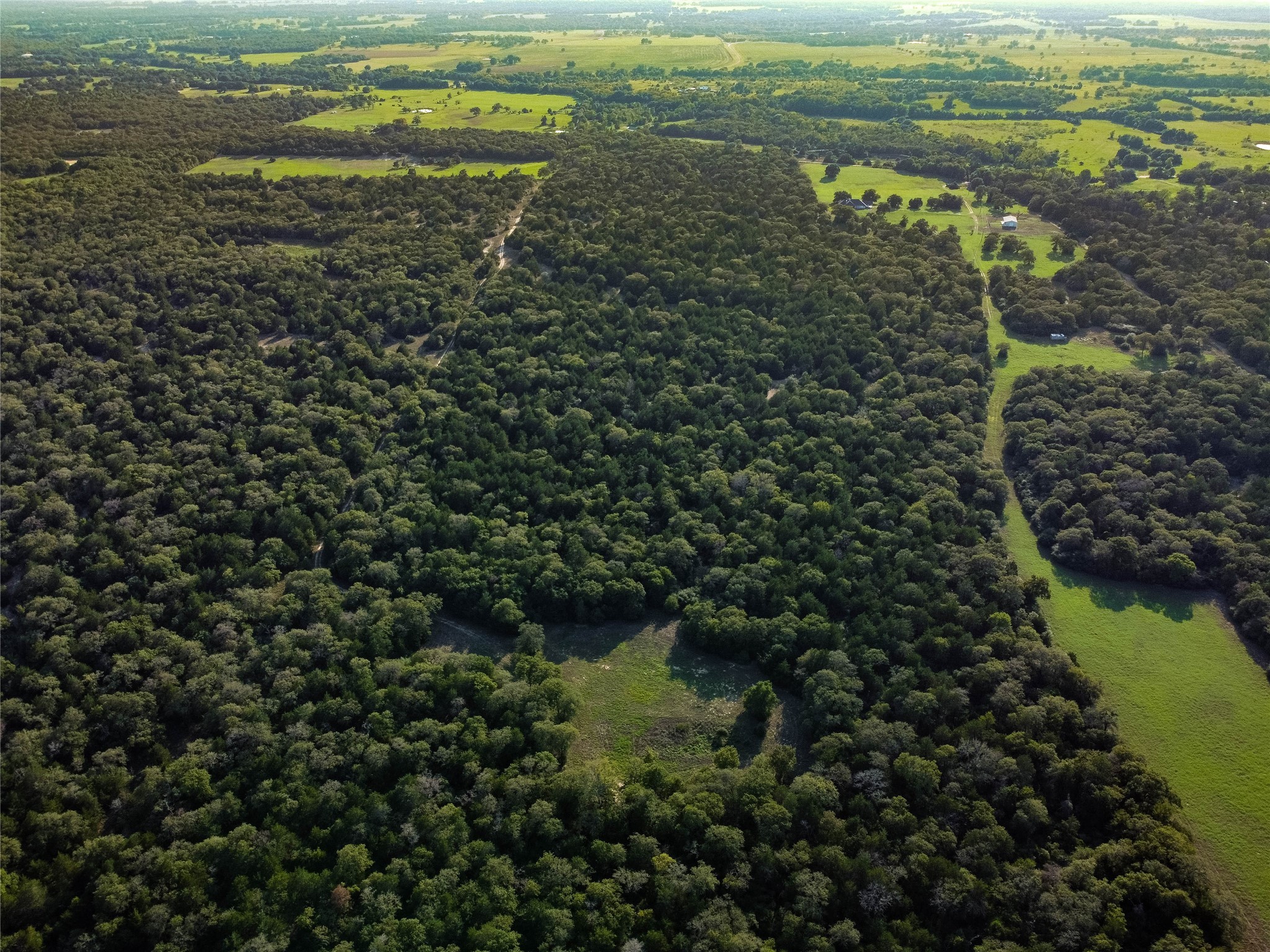 5632 County Road 317, Caldwell, Texas, 77836, United States, ,Land,For Sale,5632 County Road 317,1626286