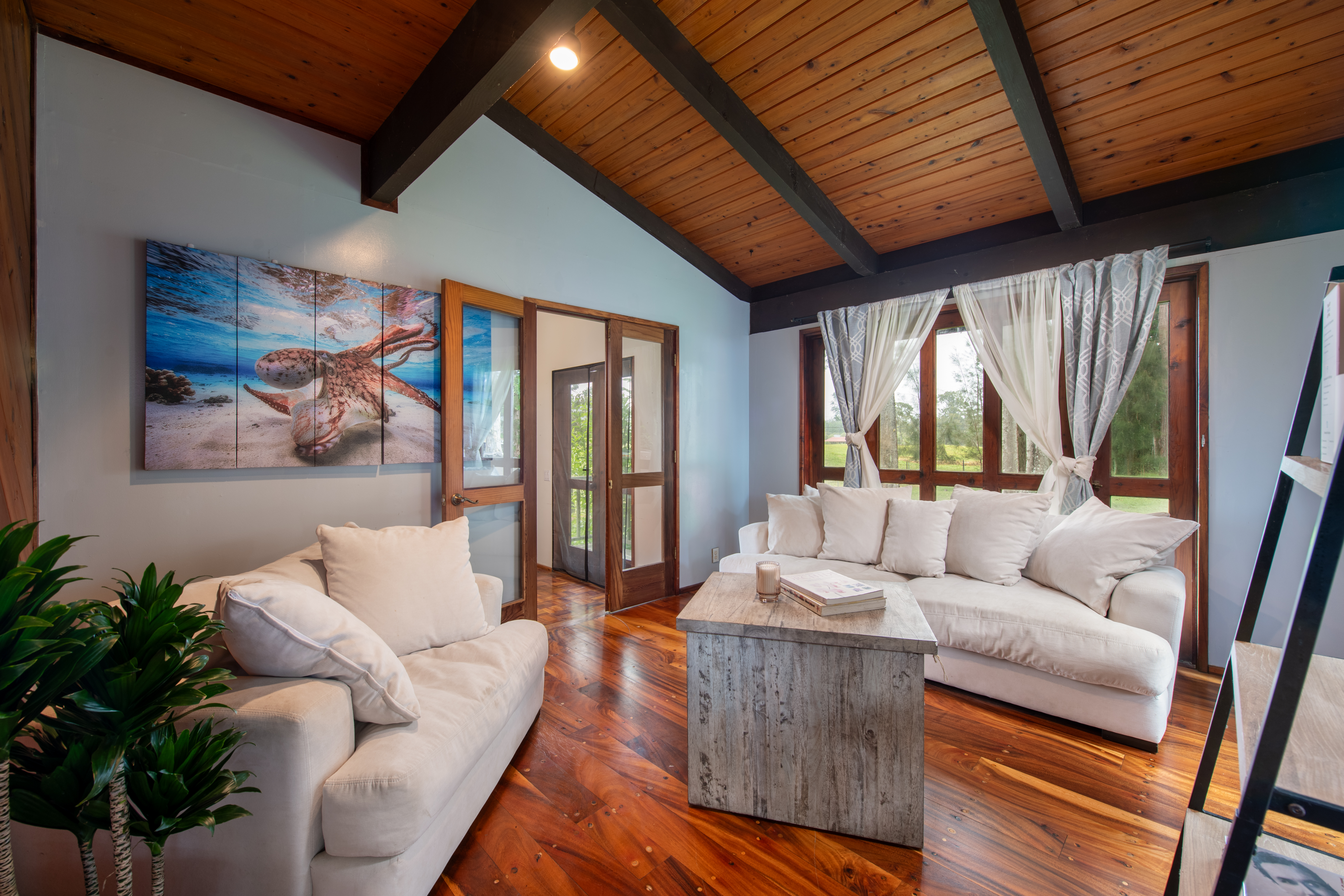  64-149 Mamalahoa Highway, Kamuela, HI, 96743 - 物件實景