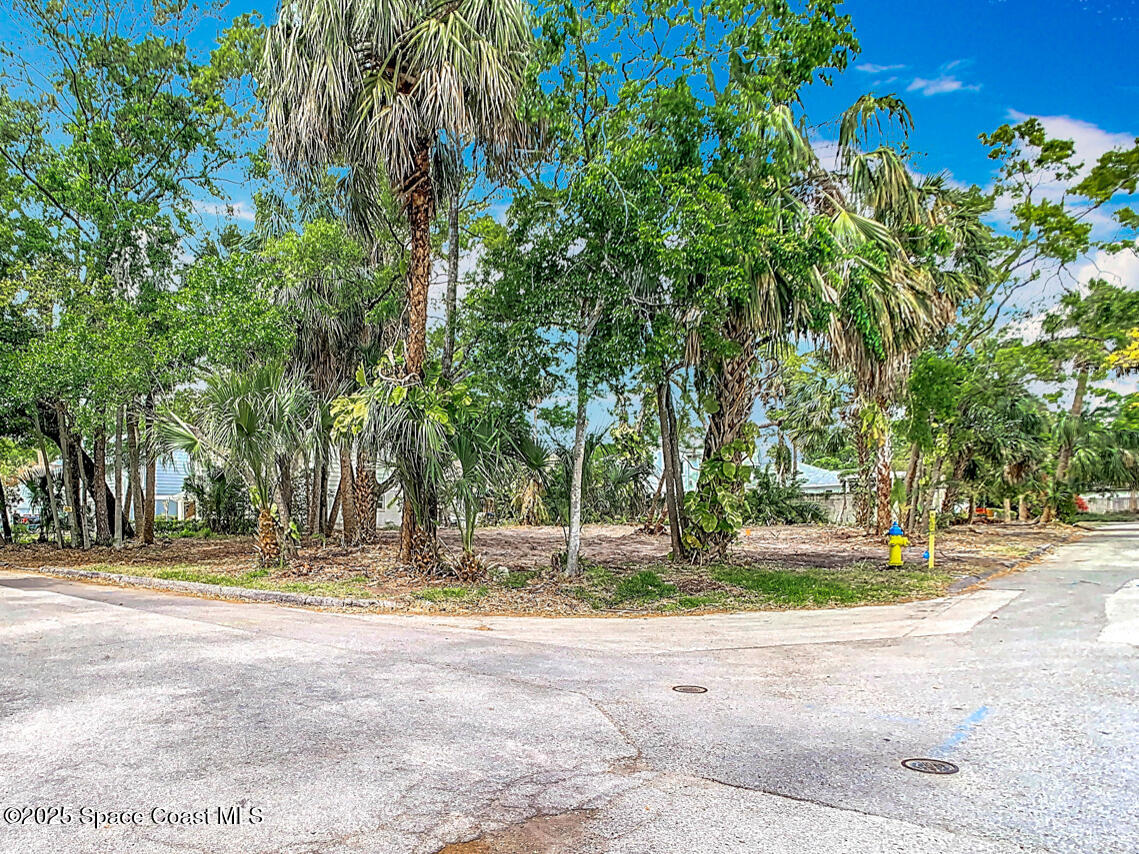 Tampa, Florida, 33629, United States, ,Land,For Sale,1751522