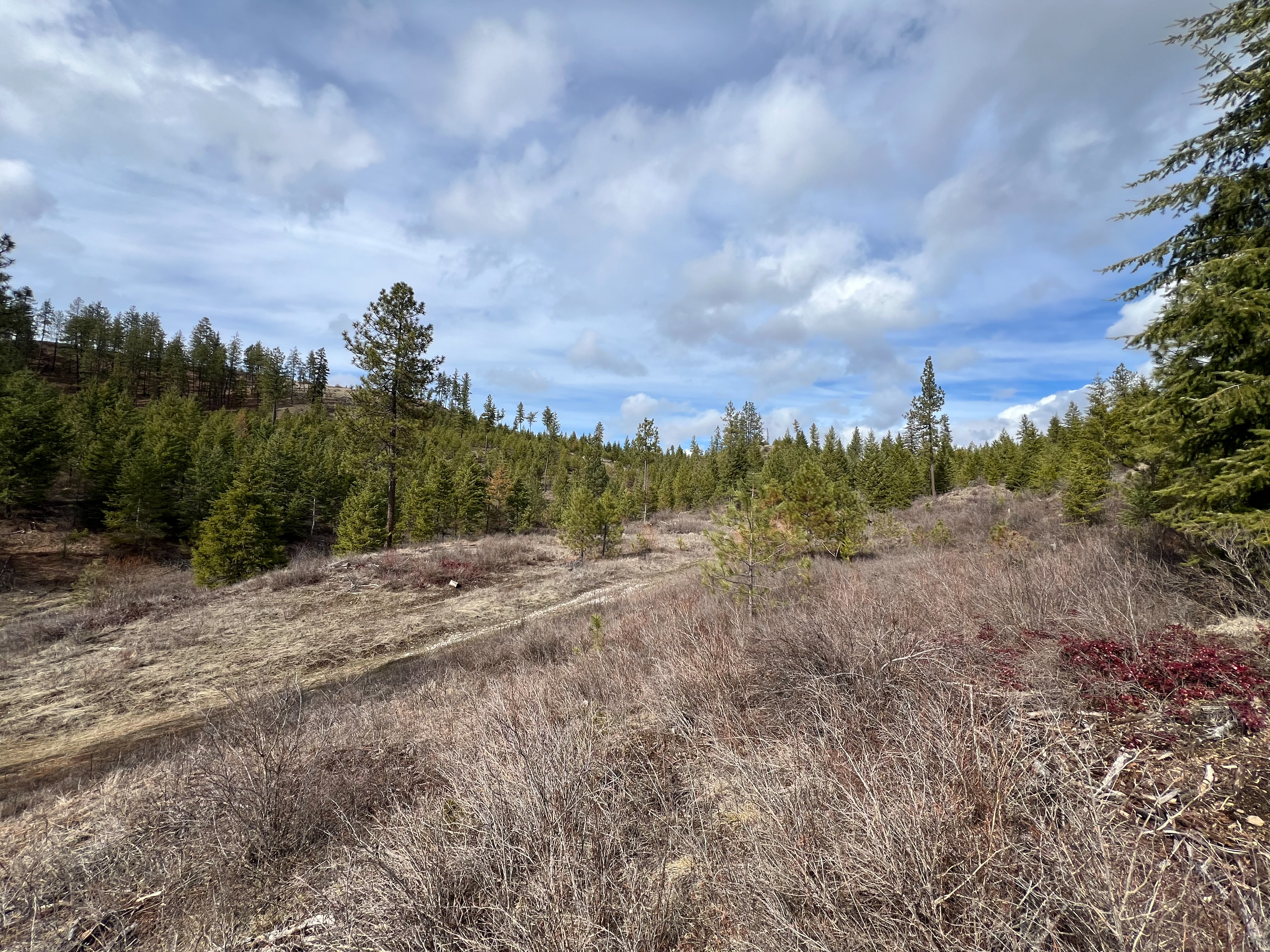 Valley, Washington, 99181, United States, ,Land,For Sale,1979391