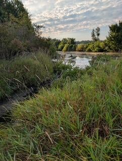 Fennville, Michigan, 49408, United States, ,Land,For Sale,1865196