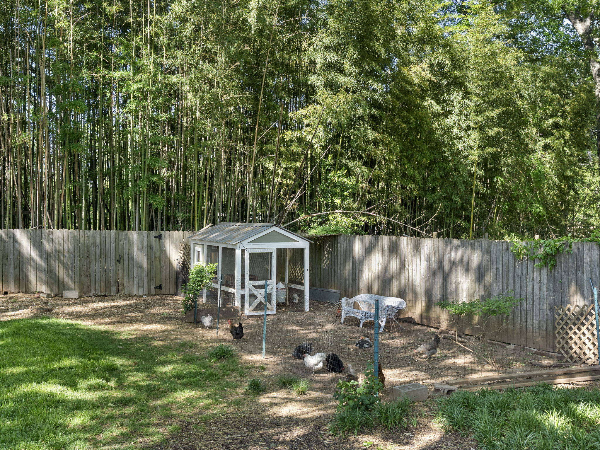  Thoughtfully Renovated East Atlanta Bungalow - 物件實景