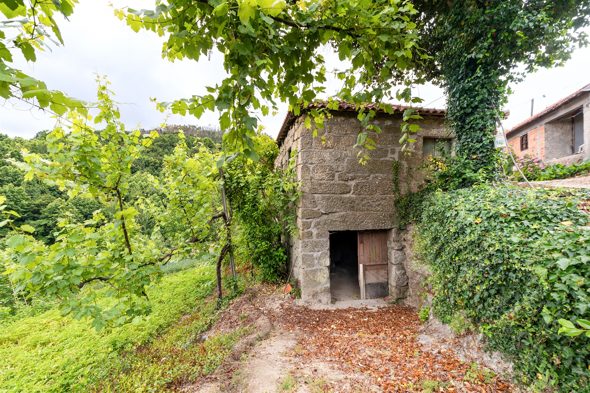  Farm, 3 bedrooms, for Sale - 物件實景