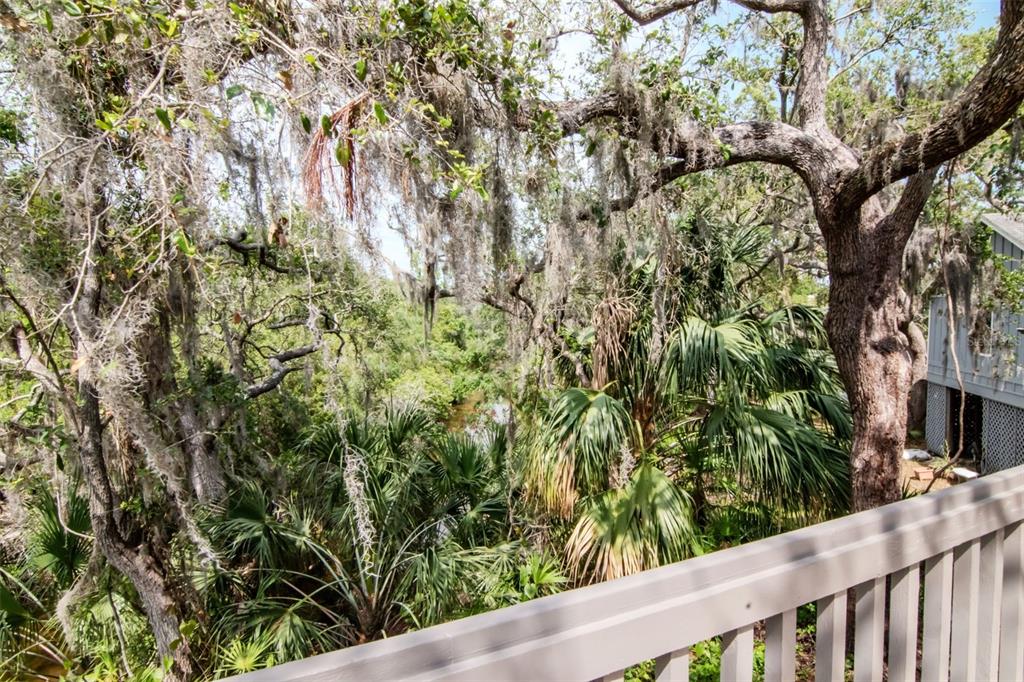 Dunedin, Florida, 34698, United States, 4 Bedrooms Bedrooms, ,5 BathroomsBathrooms,Residential,For Sale,1987490