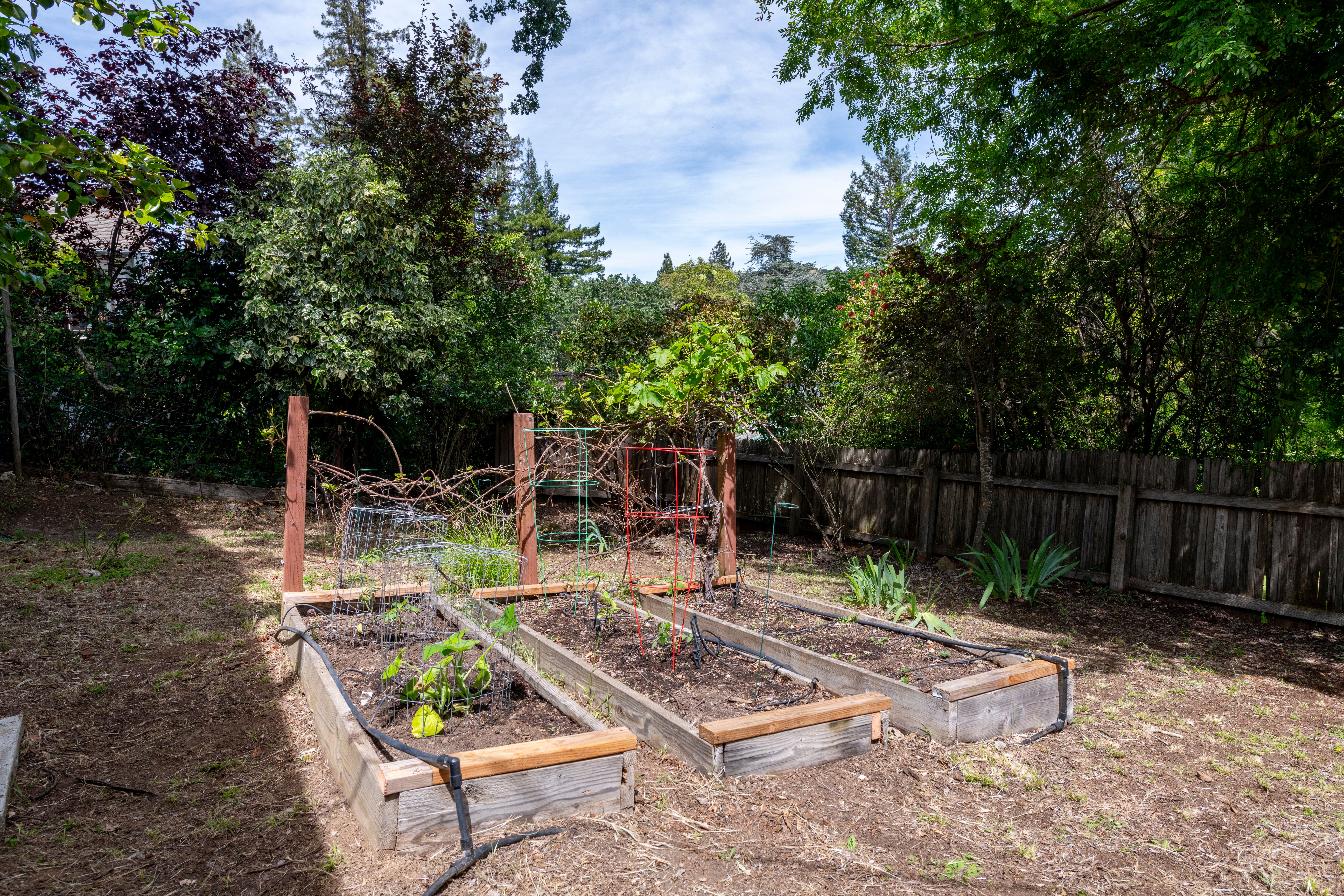  Lush Indoor-Outdoor Living in San Anselmo - 物件實景
