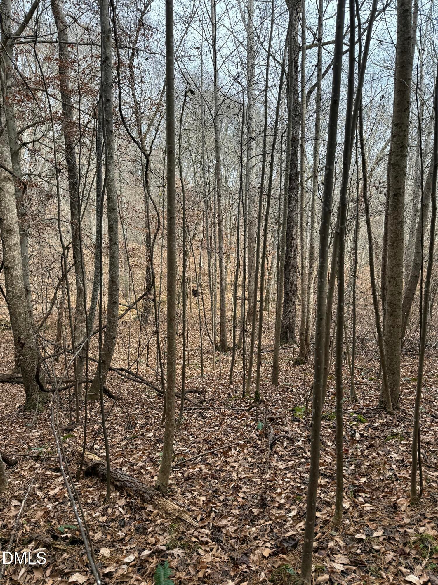 Oxford, North Carolina, 27565, United States, ,Land,For Sale,2000467